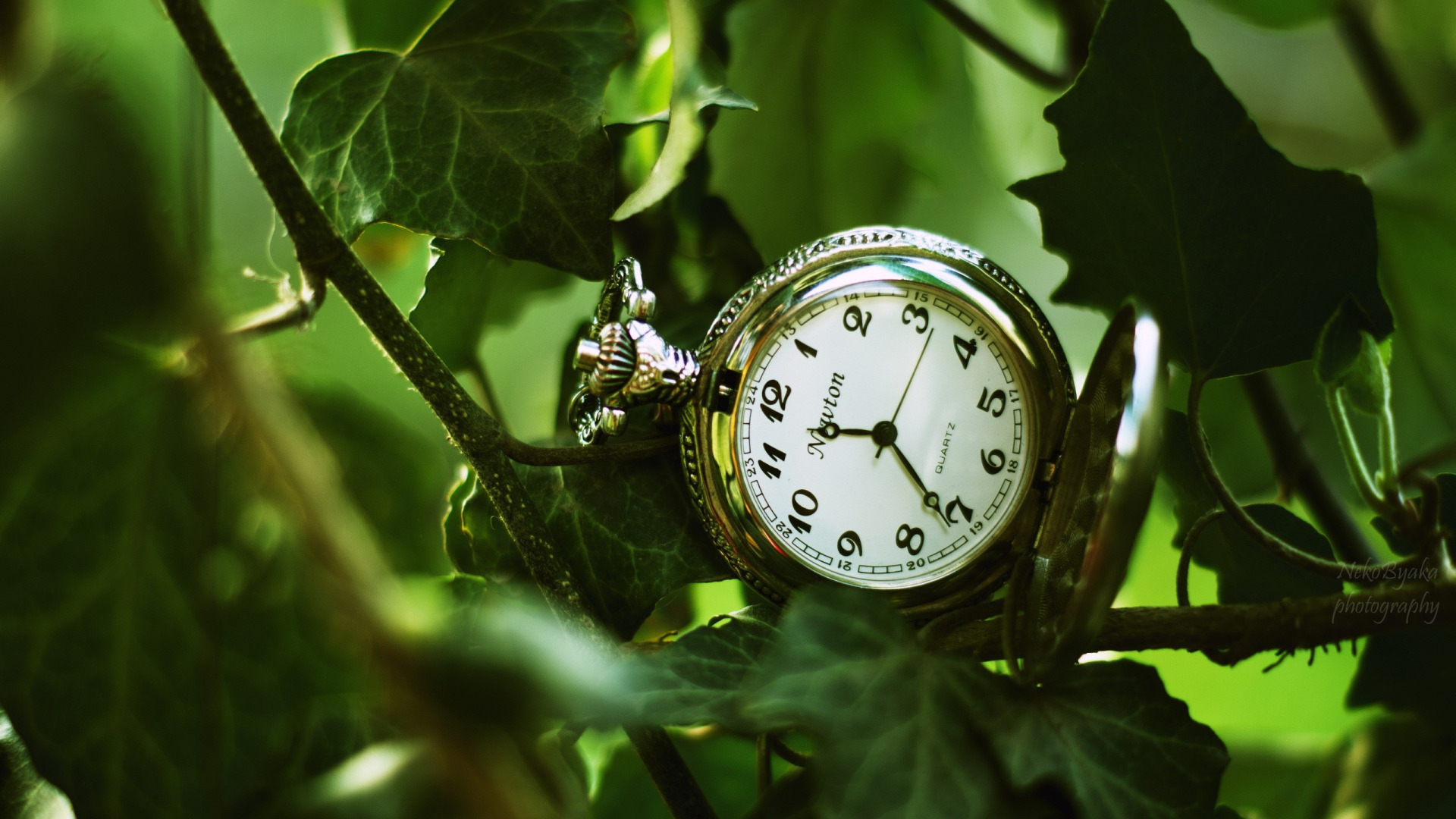 Бережок часов. Часы. Часы на природе. Часы в траве. Часы на фоне природы.