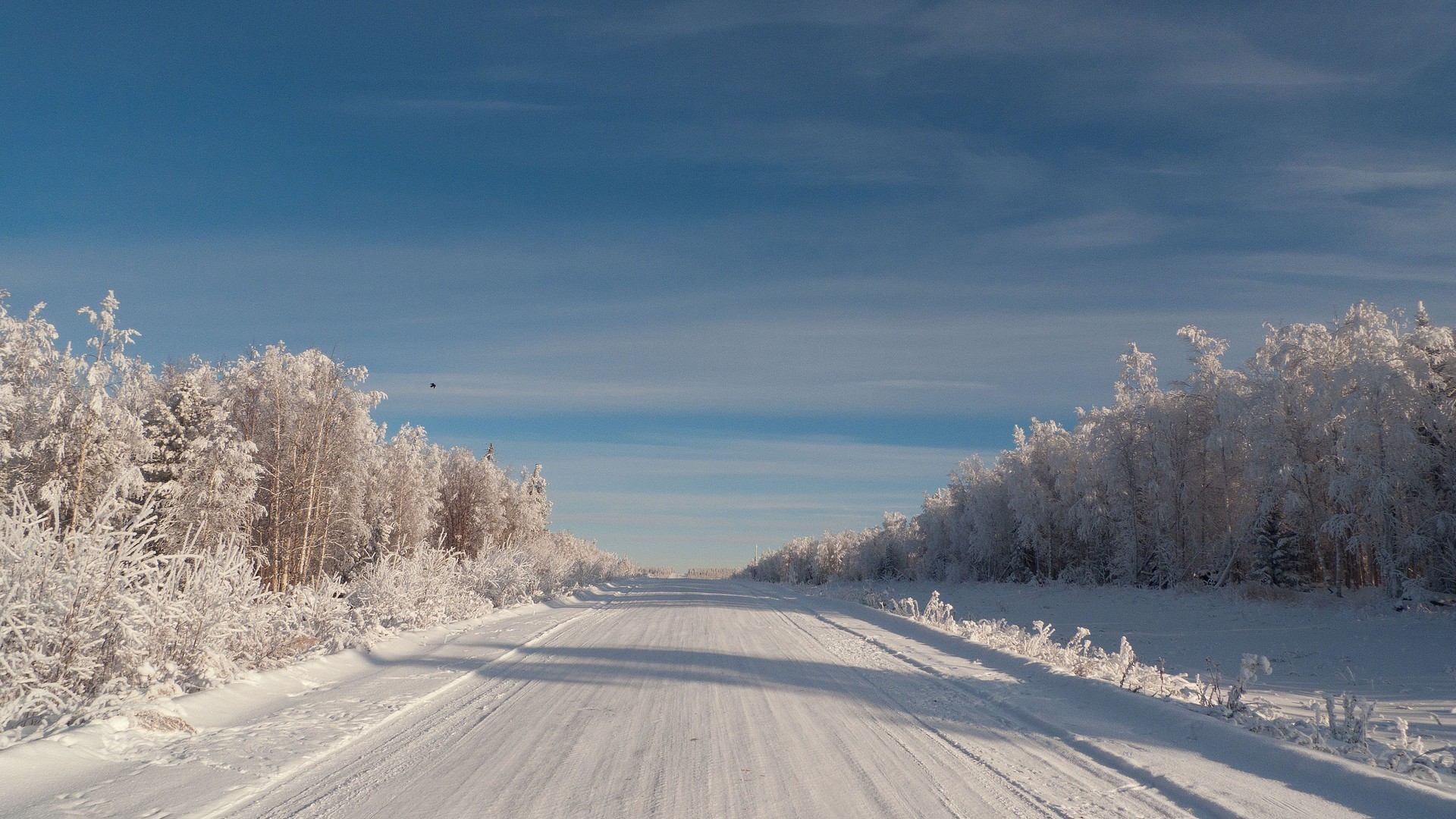 Заснеженная дорога