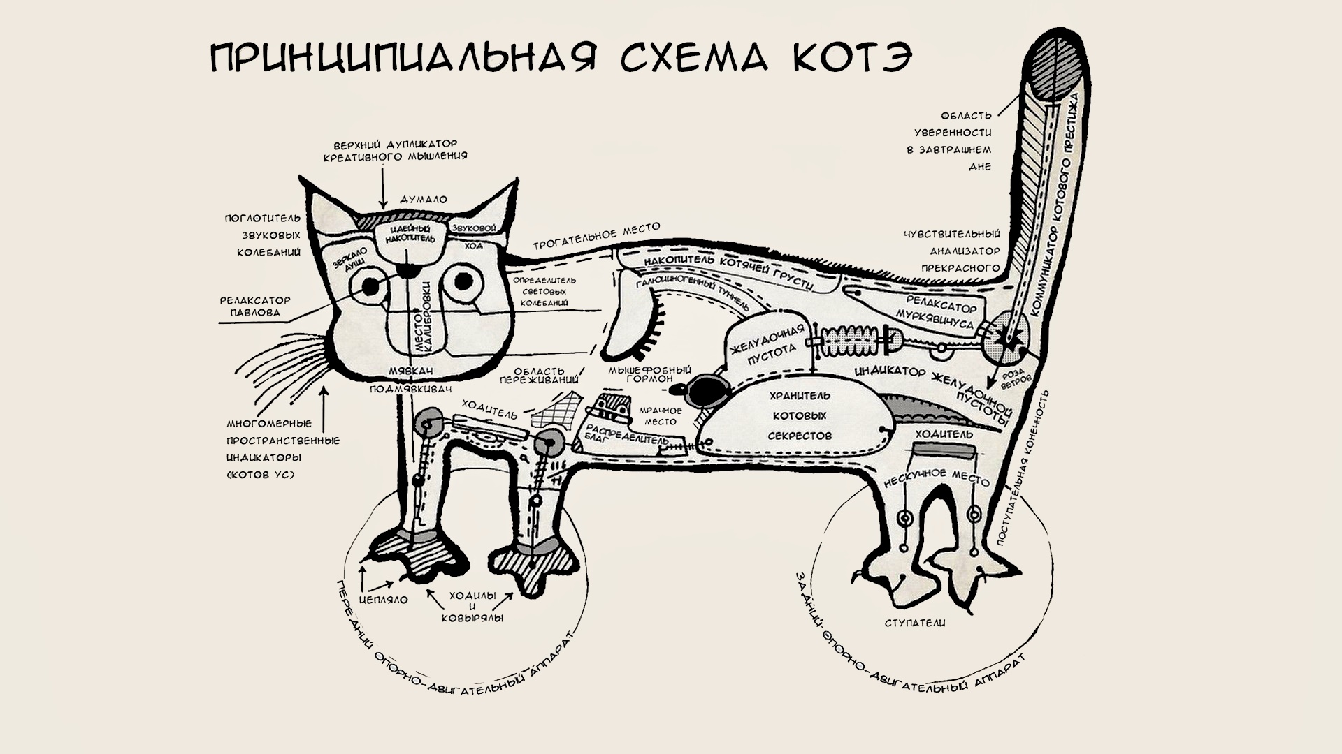 Кот батон схема