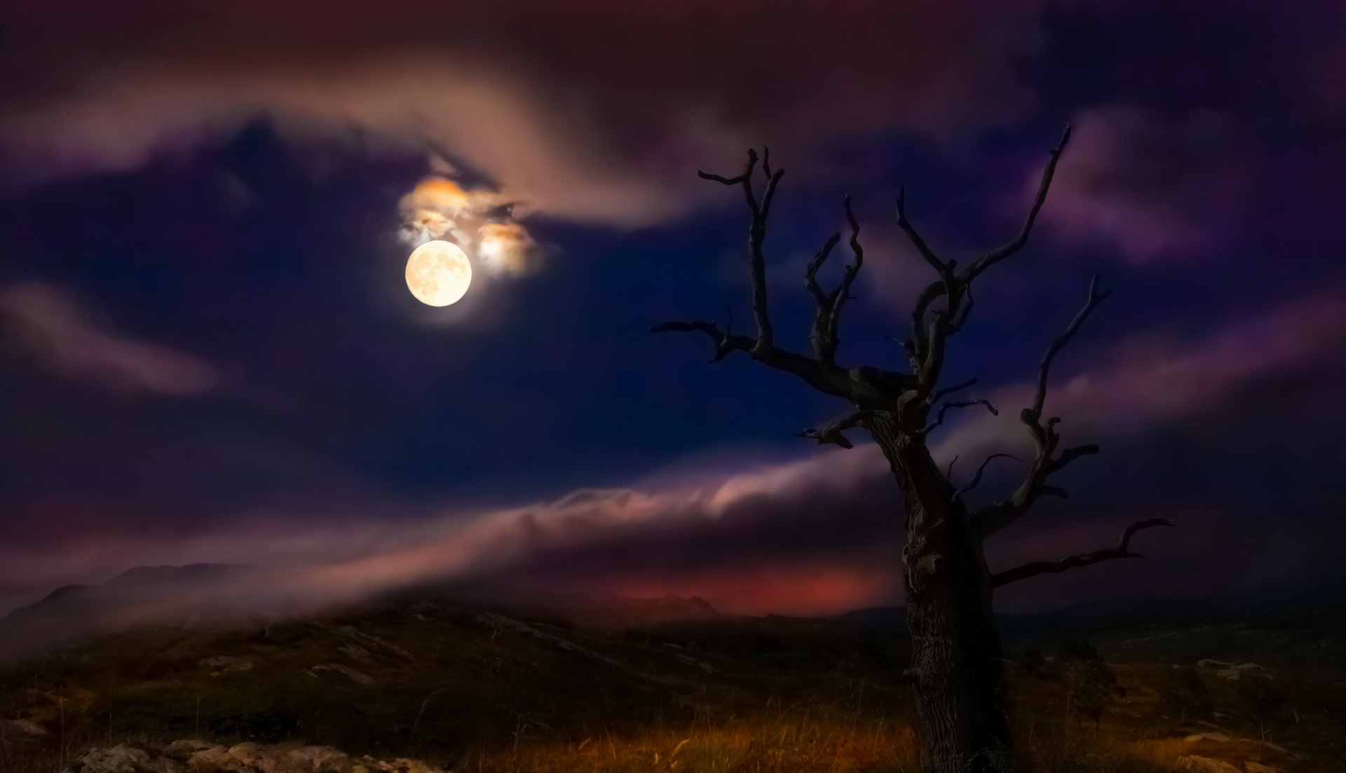 Ночью деревья спят. Пейзаж с луной. Сухое дерево ночь. Одинокое дерево на обрыве. Луна и дерево.