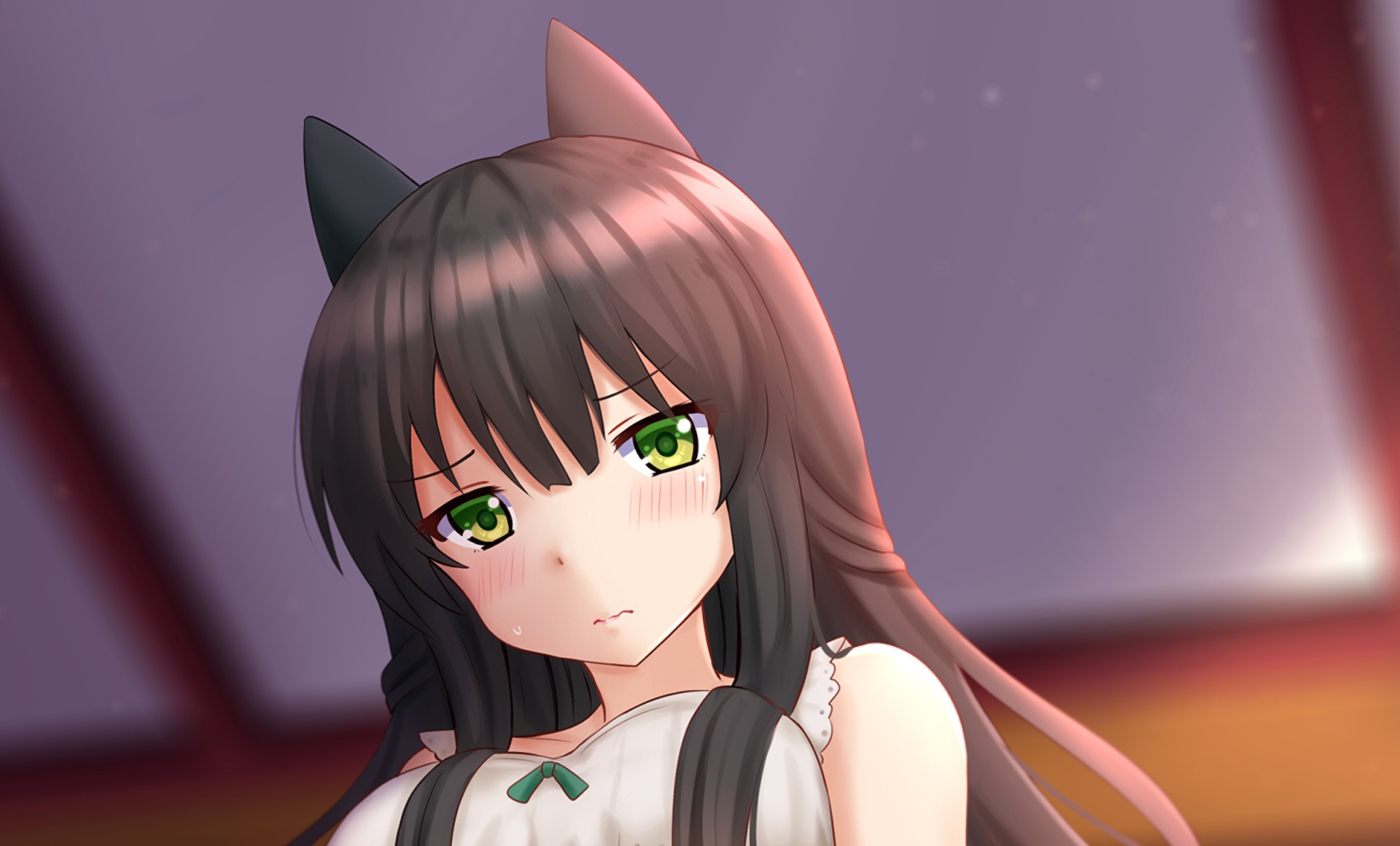 Обои girl, green eyes, neko, blush, anime, cat, pretty, brunette на телефон  и рабочий стол, раздел сёдзё, разрешение 1920x1160 - скачать