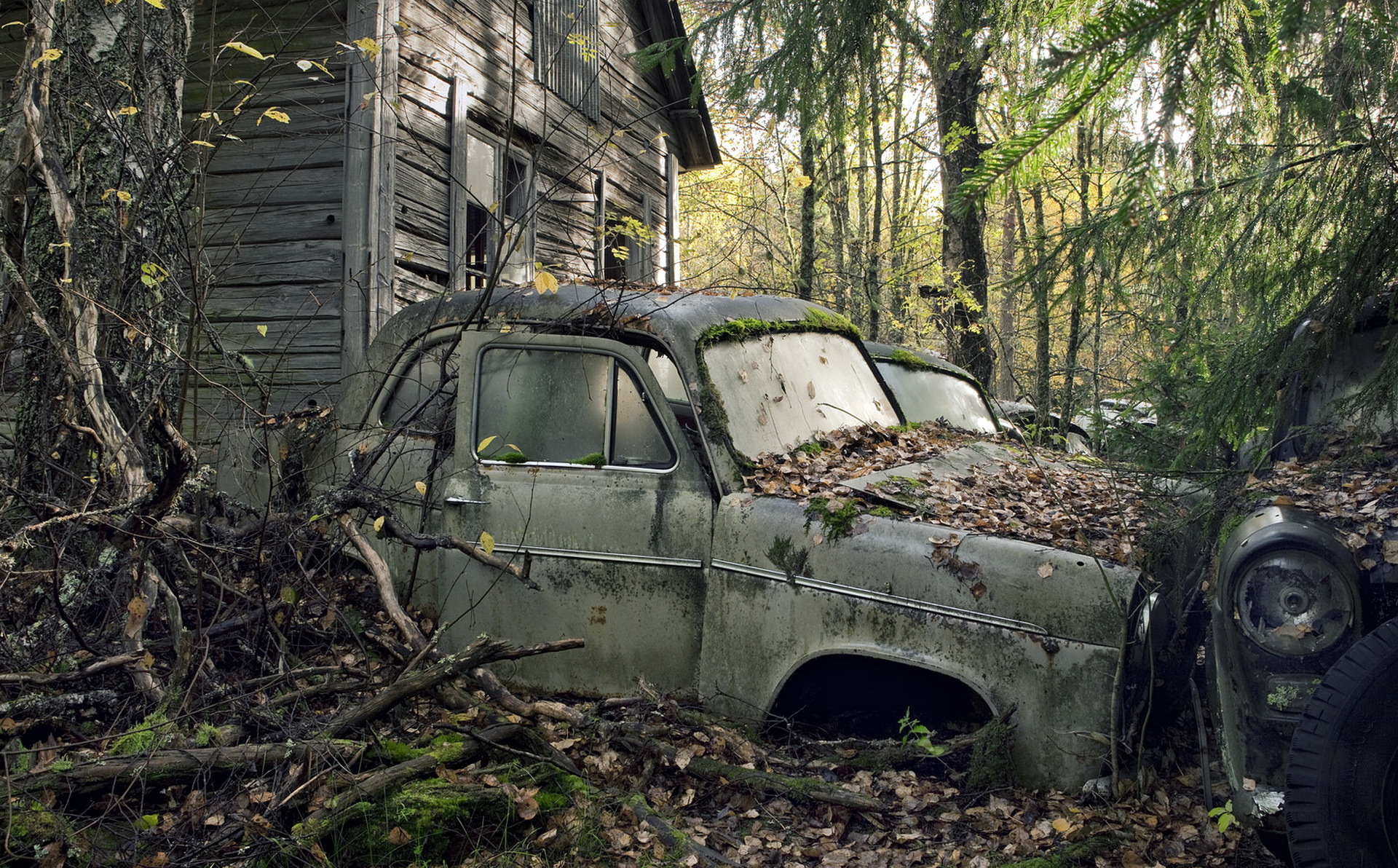 Позабытый брошенный. Заброшенные автомобили. Старые заброшенные автомобили. Заброшенные машины в лесу. Заброшенные места с машинами.