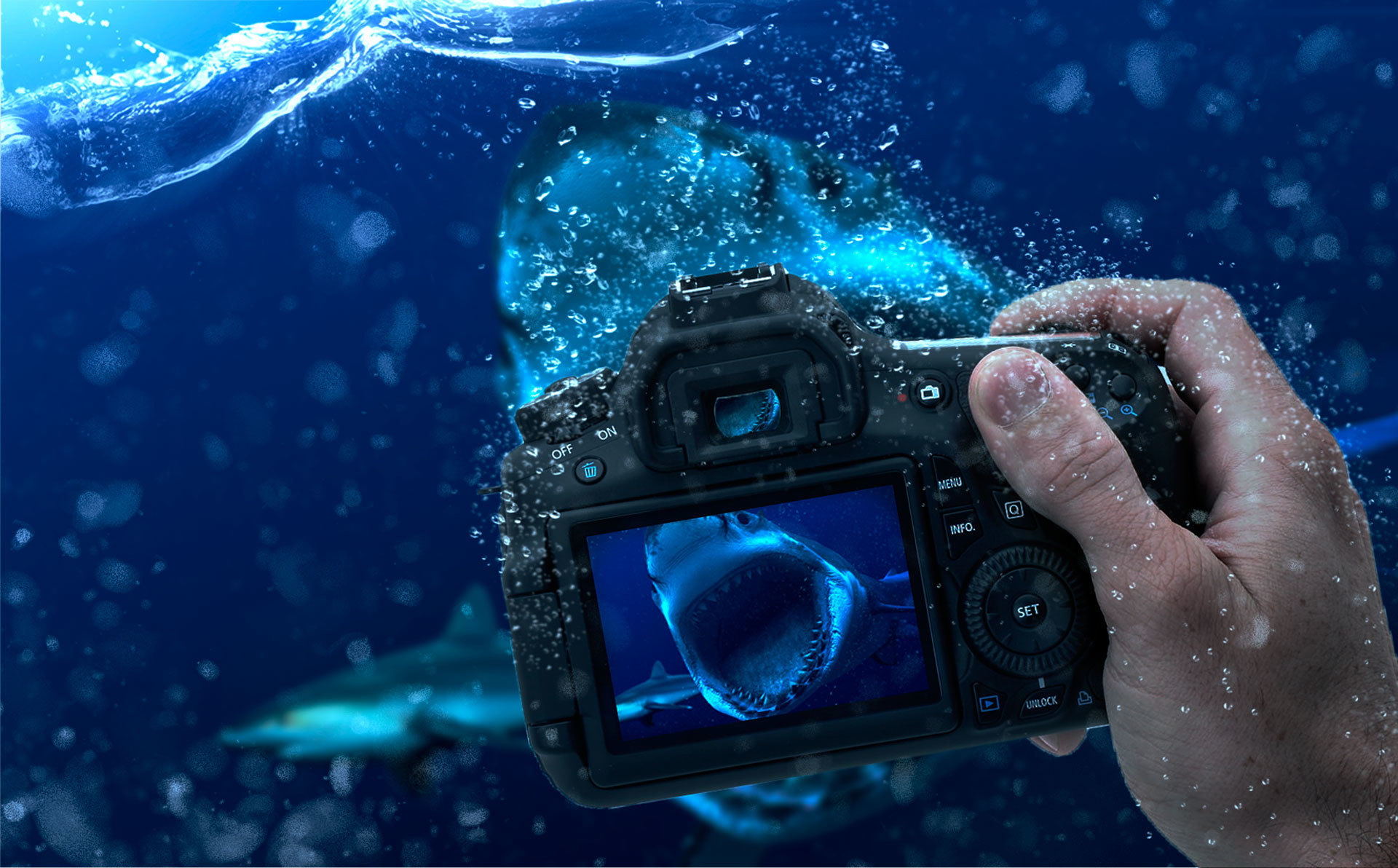 Погружение в соленую воду. Фотоаппарат под водой. Фотокамеры для подводной съемки. Под водой. Фотоаппарат для подводных съемок.