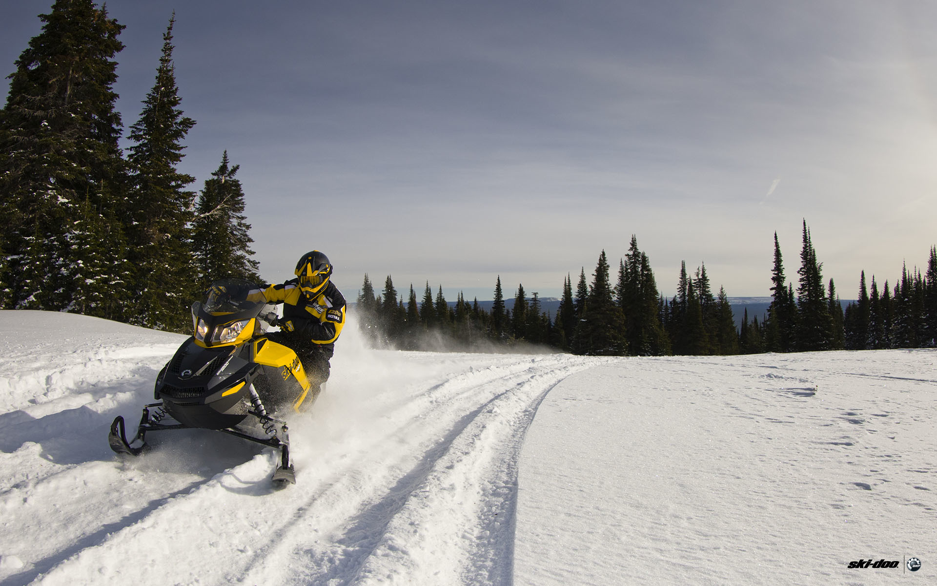 Ski Doo 1200 Р¶РµР»С‚С‹Р№