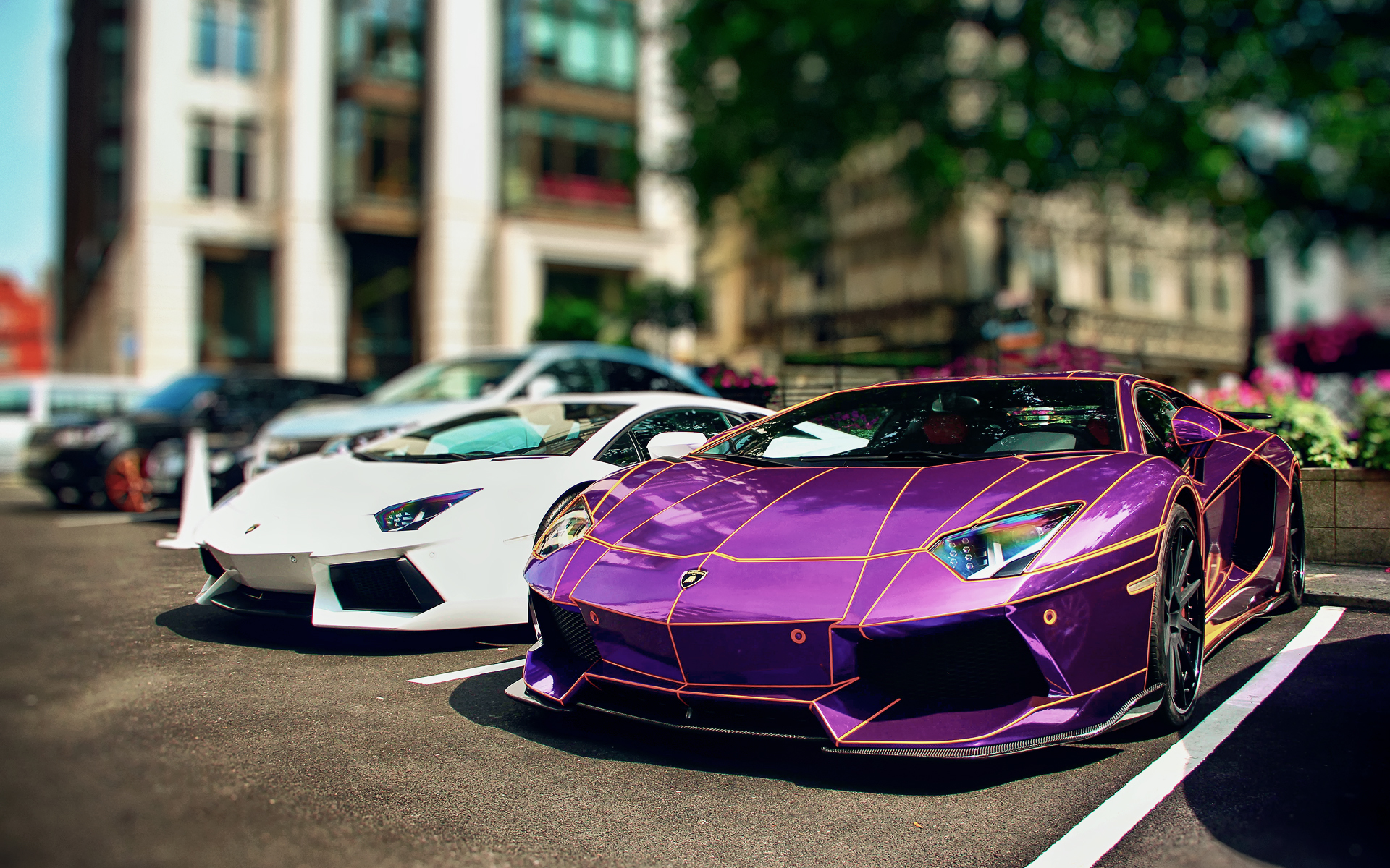 Заставка красивых машин. Lamborghini Aventador lp700-4 фиолетовый. Пурпл Ламборджини. Ламборгин авентадор фиолнтов. Lamborghini Aventador Purple.