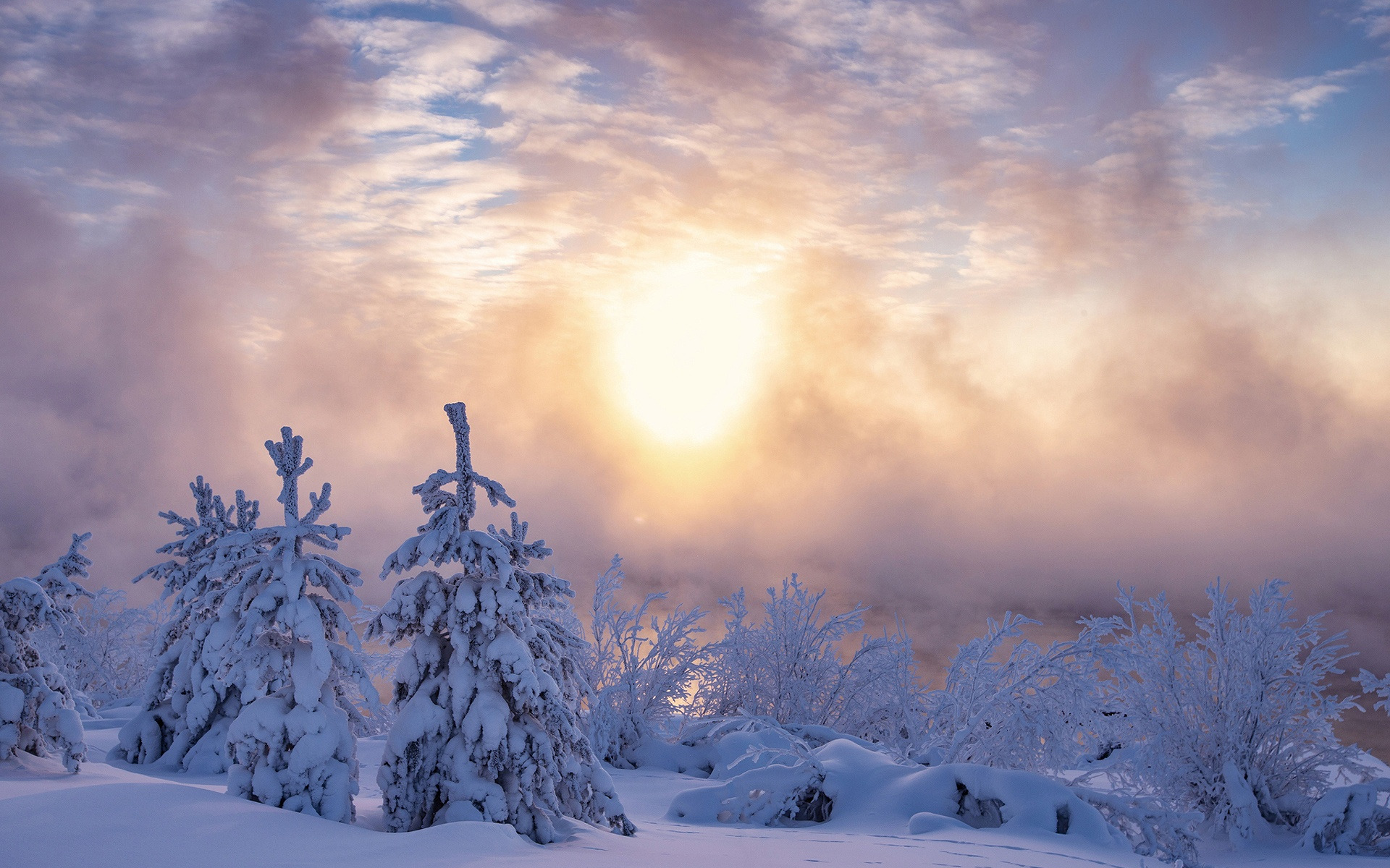 Snowy morning. Снежное утро. Морозное утро. Морозное утро сугробы природа. Морозное Альпийское утро.