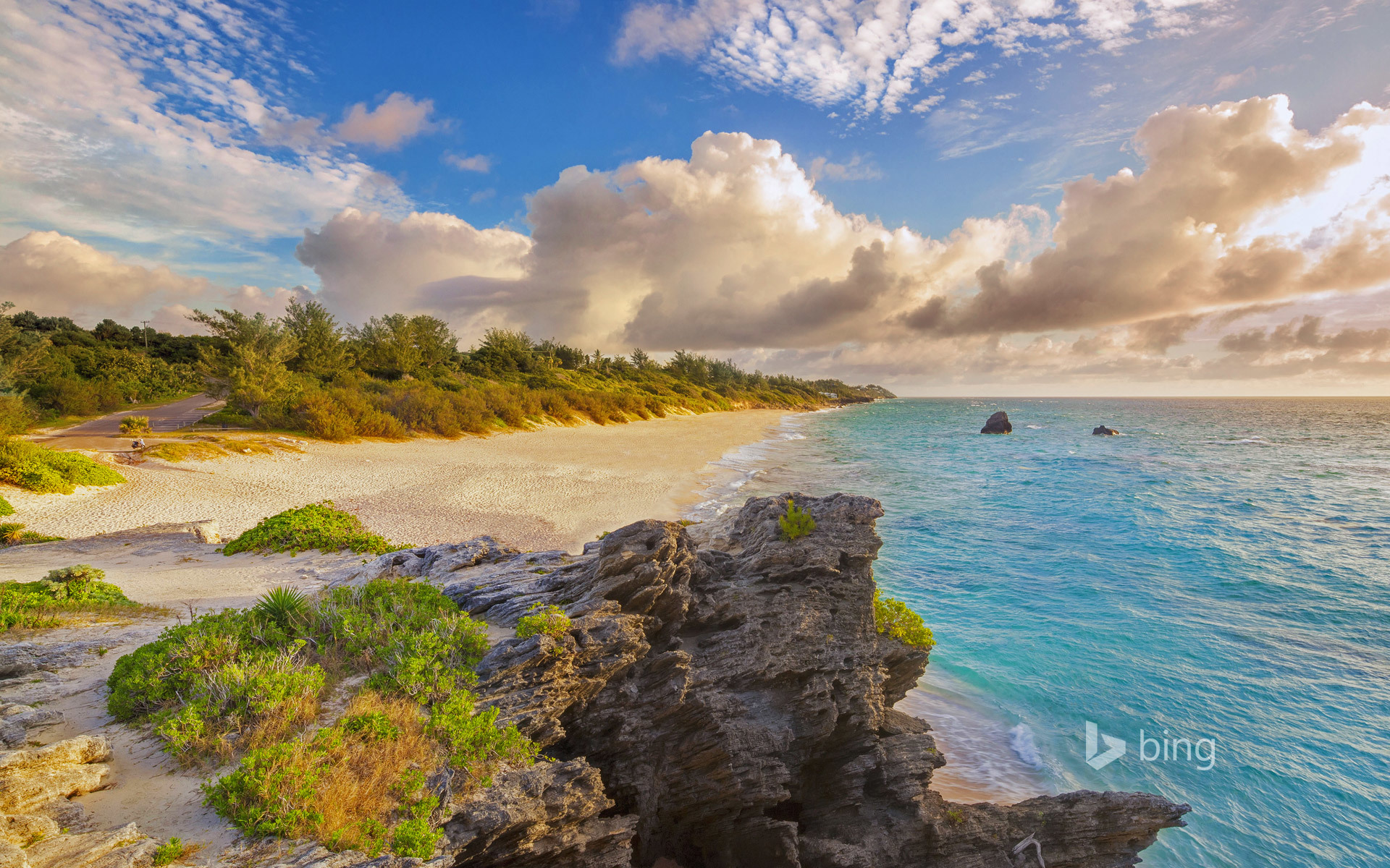 Long beach nature. Бермудские острова природа. Уорик (Бермудские острова). Карибское море Атлантический океан. Мейн Айленд остров.