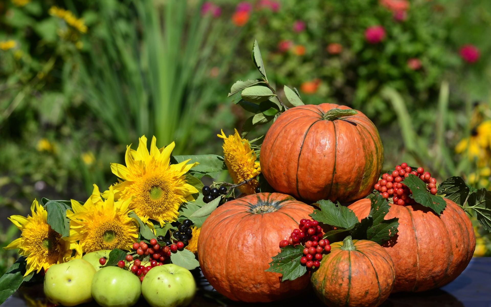 Осенние овощи. Осень урожай. Осенние дары природы. Урожай в саду. Август конец месяца