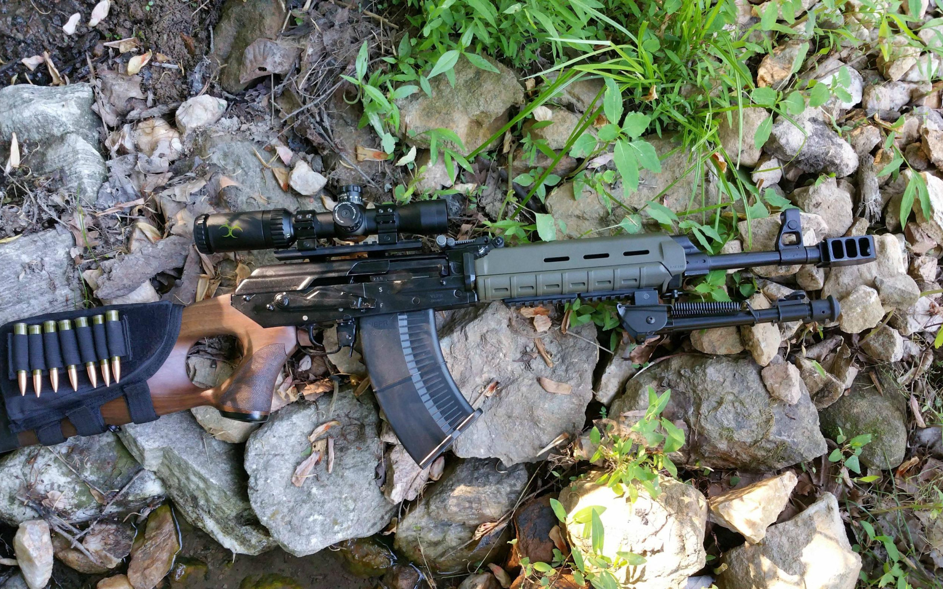 Вепрь 309