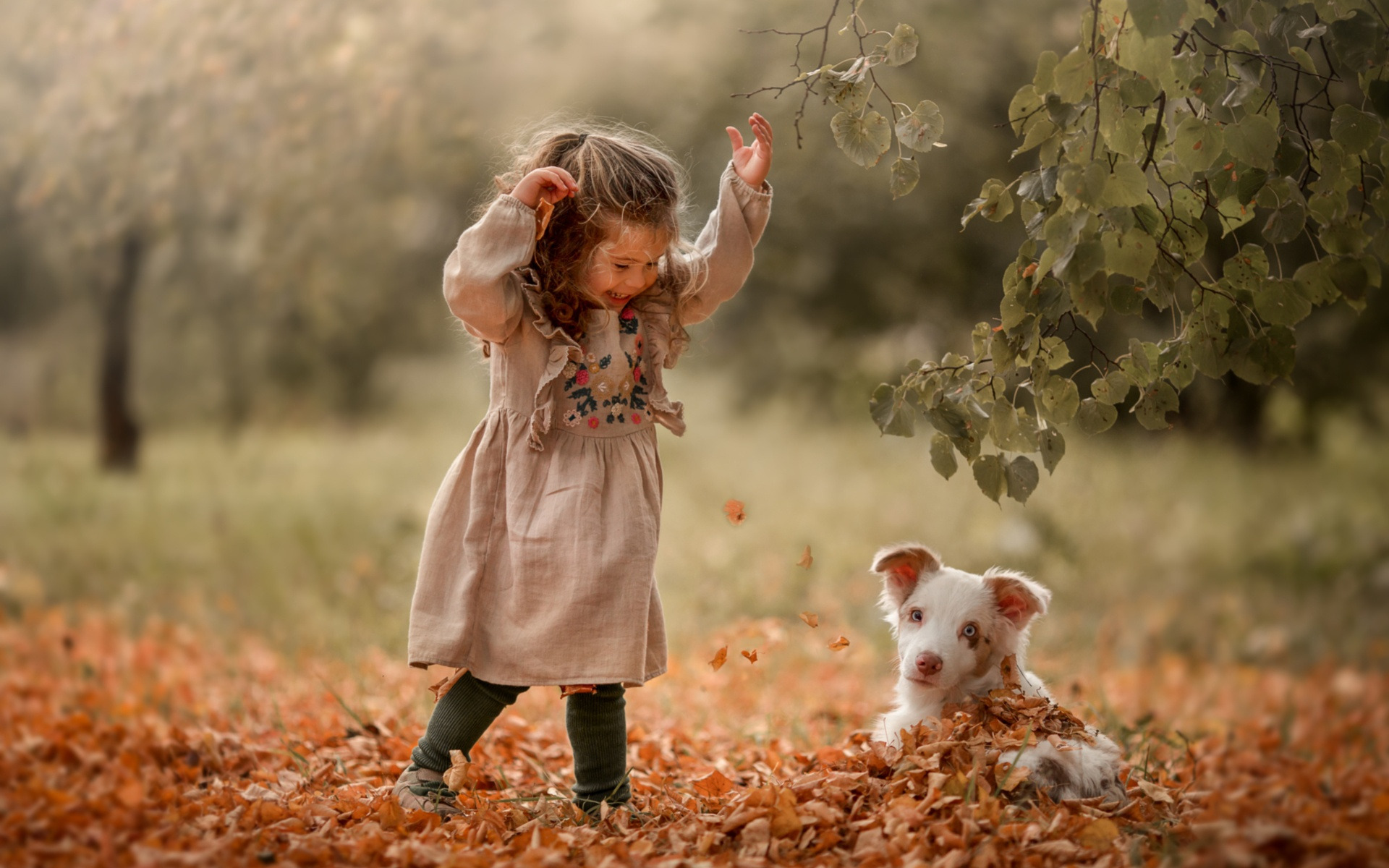 Гуляла девочка в лесу. Осень дети радость. Счастье радость дети и животные. Дети и природа. Дети осень радость животные.