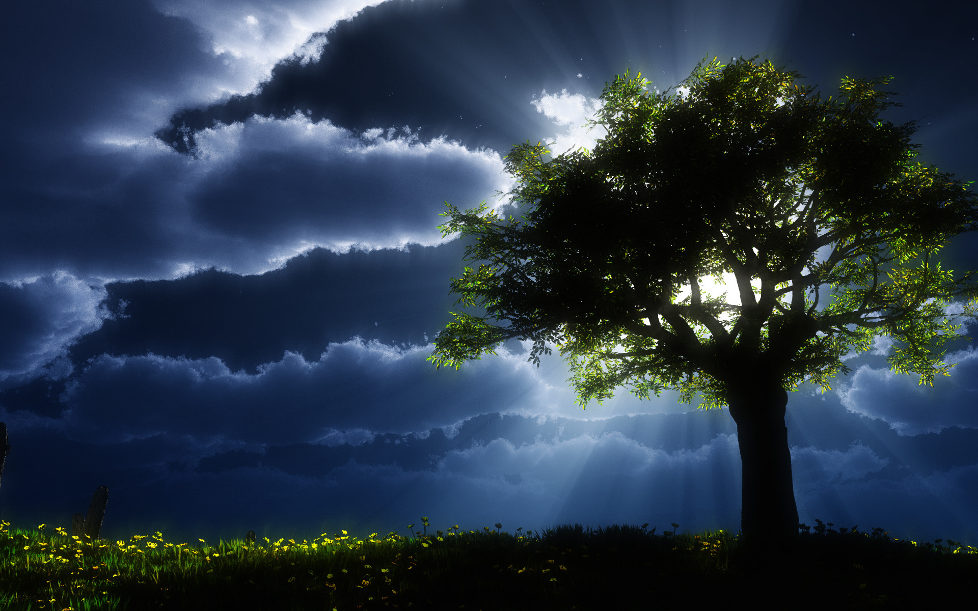 Сон красивые деревья. Дерево ночью. Красивое одинокое дерево. Ветвистое дерево. Могучее дерево.