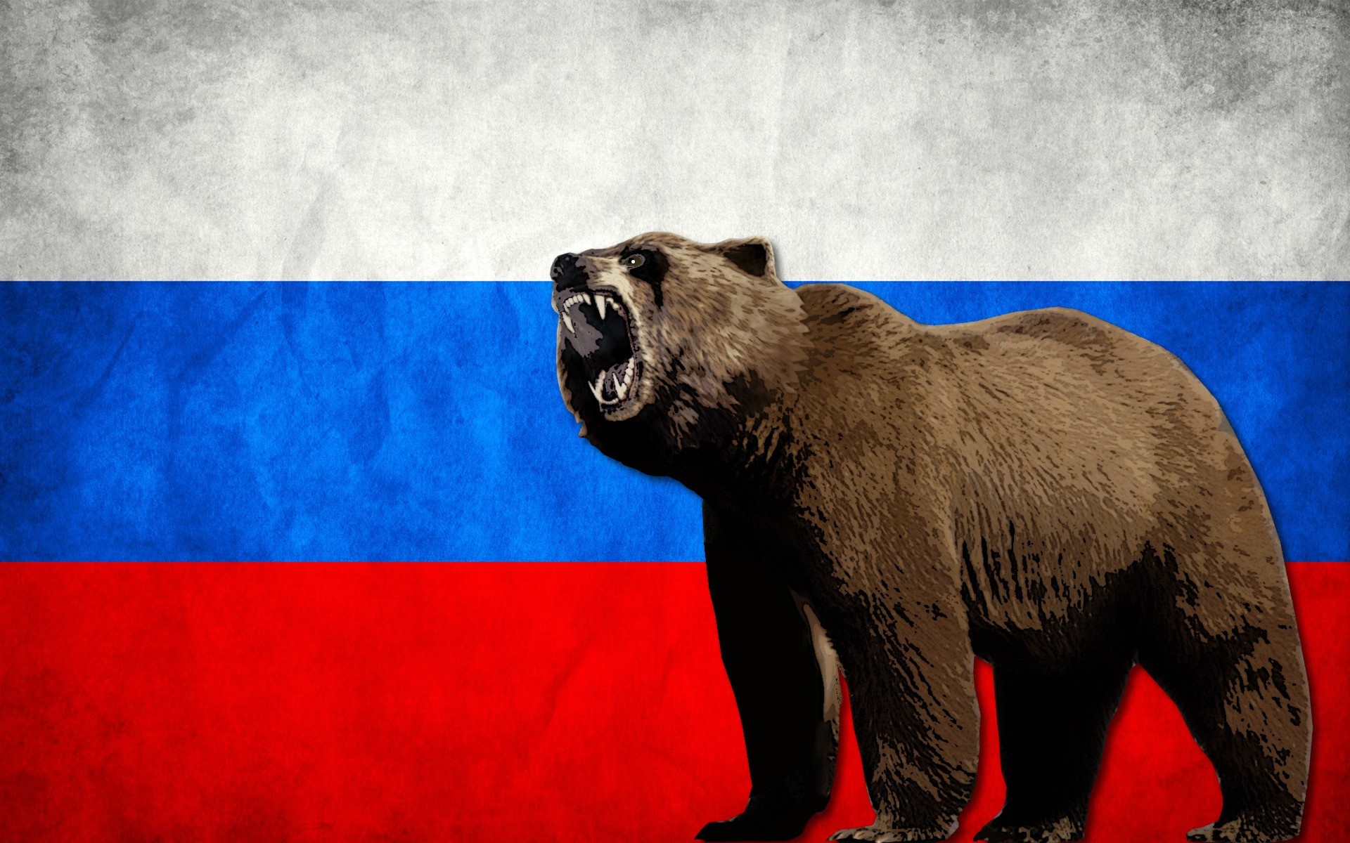 Russia bear steam фото 4