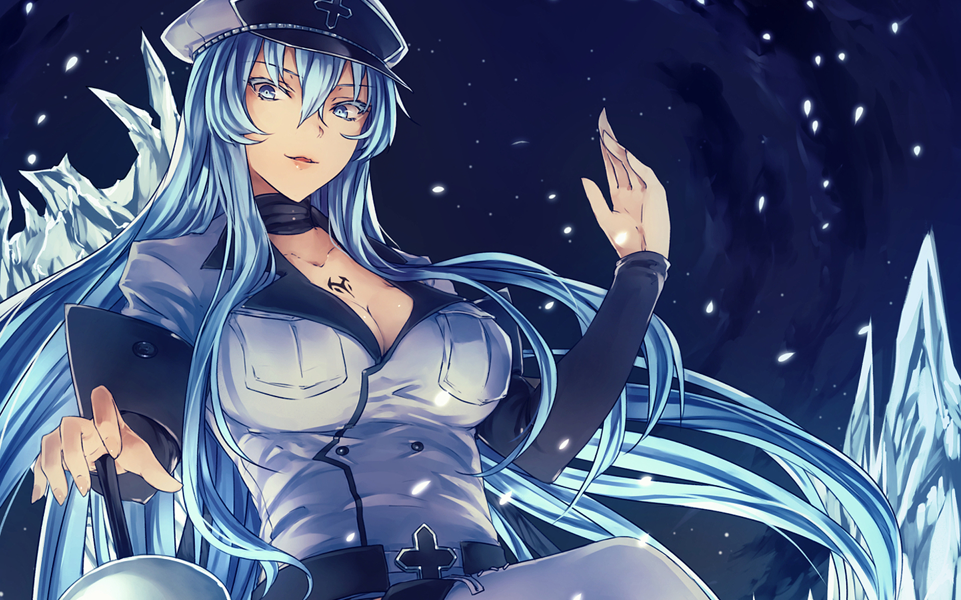 Скачать обои девушка, лёд, Akame ga kill, убийца Акаме, Esdeath, Jaegers,  раздел прочее в разрешении 1920x1200