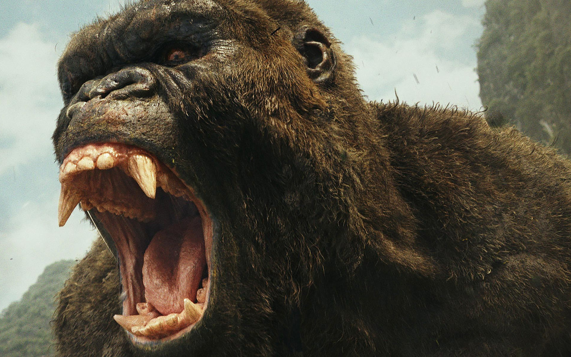 Kong full movie