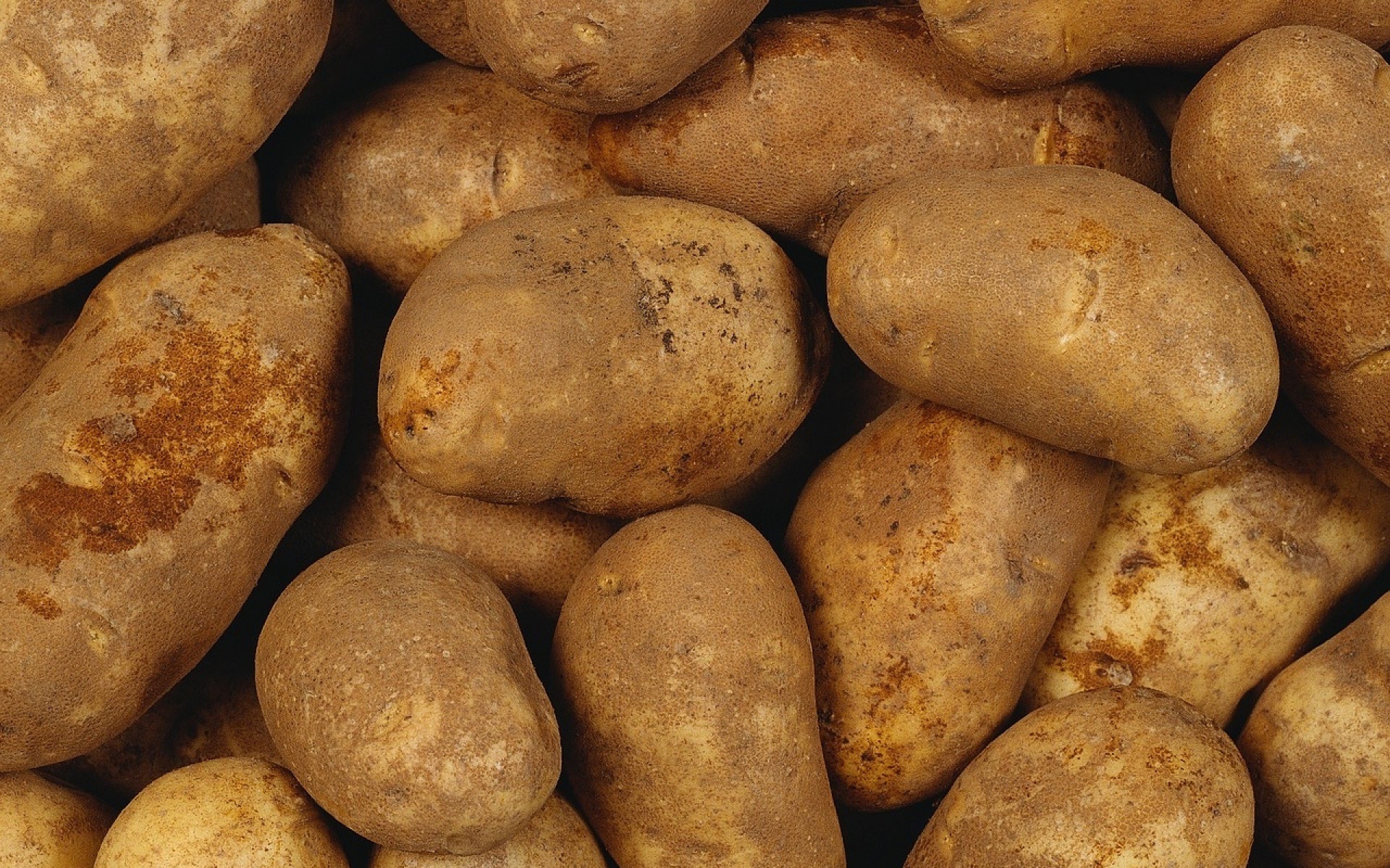 фото красивой картошки