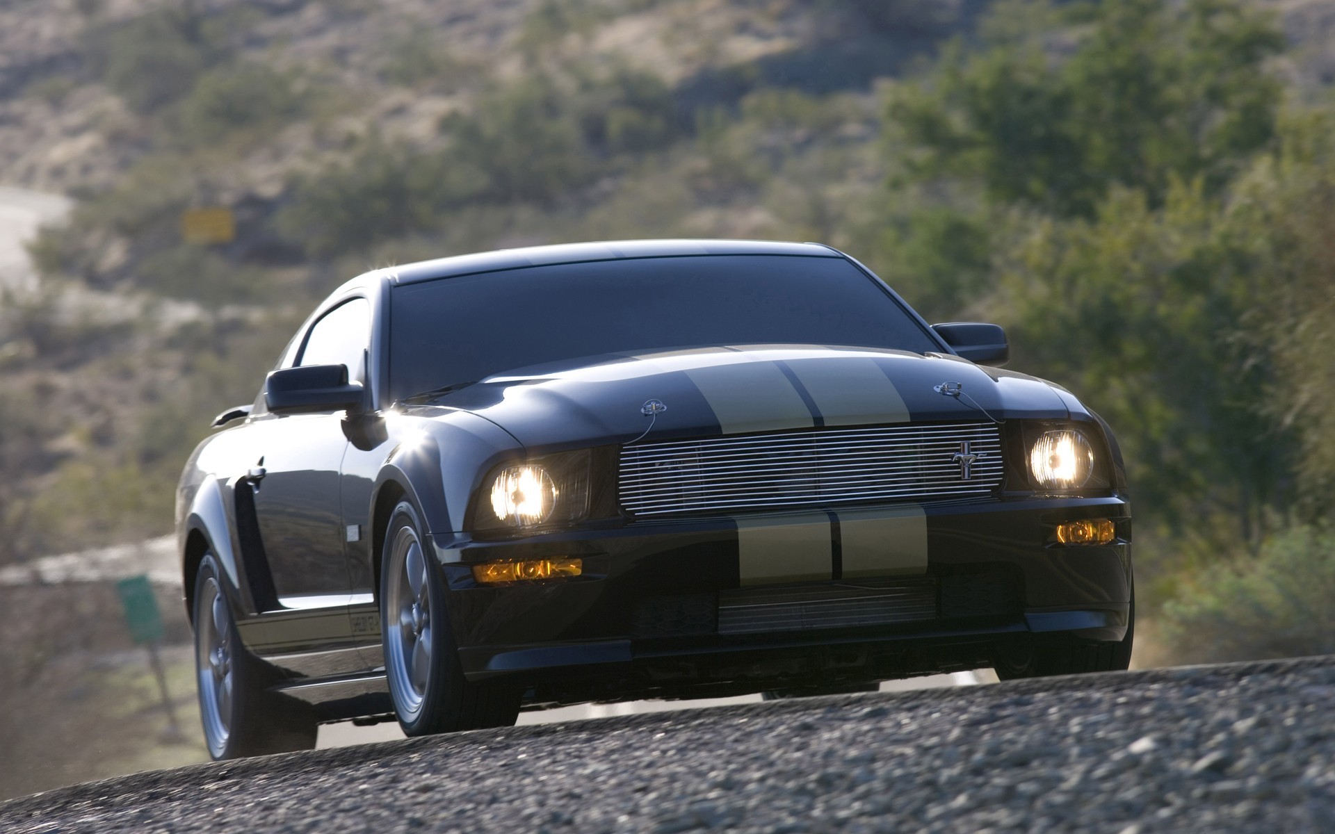 Ford Mustang gt 2005 РѕР±РѕРё