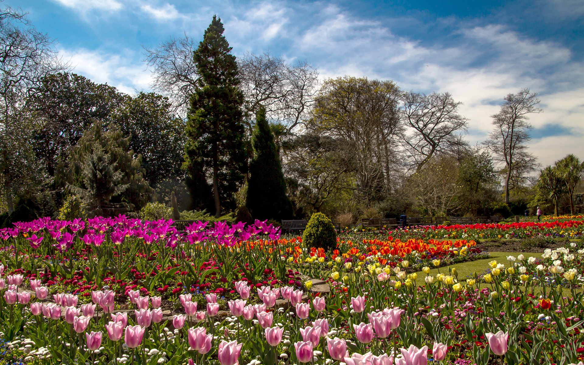 Цветок британии. Парк в Англии парк Уэльса. Парк Асикага тюльпаны. Парк Асикага цветение тюльпанов.