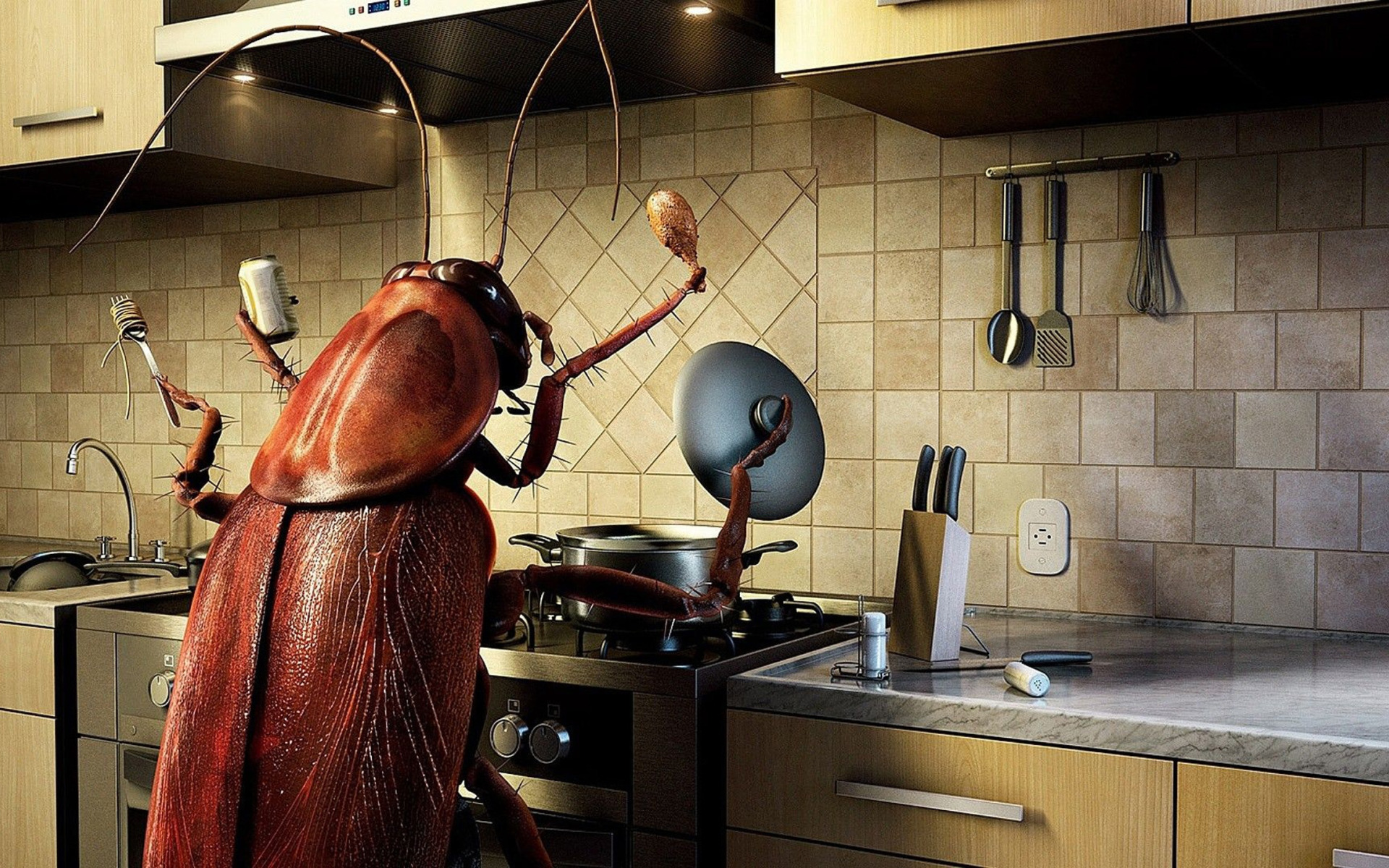 Таракан. Тараканы в квартире. Тараканы дома. Кухонные тараканы. Увидеть дома тараканов