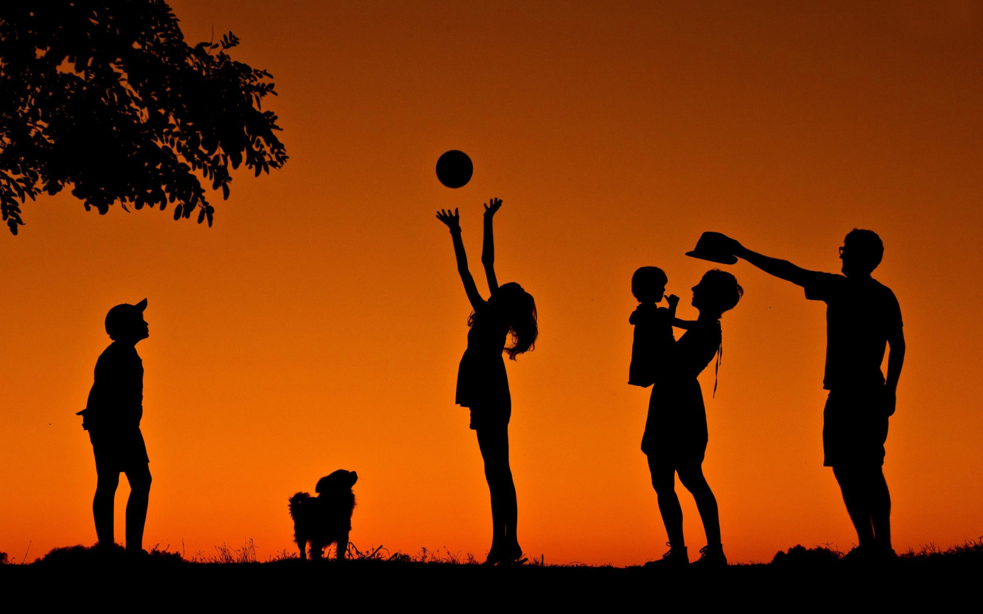 радость, дети, семья, силуэт