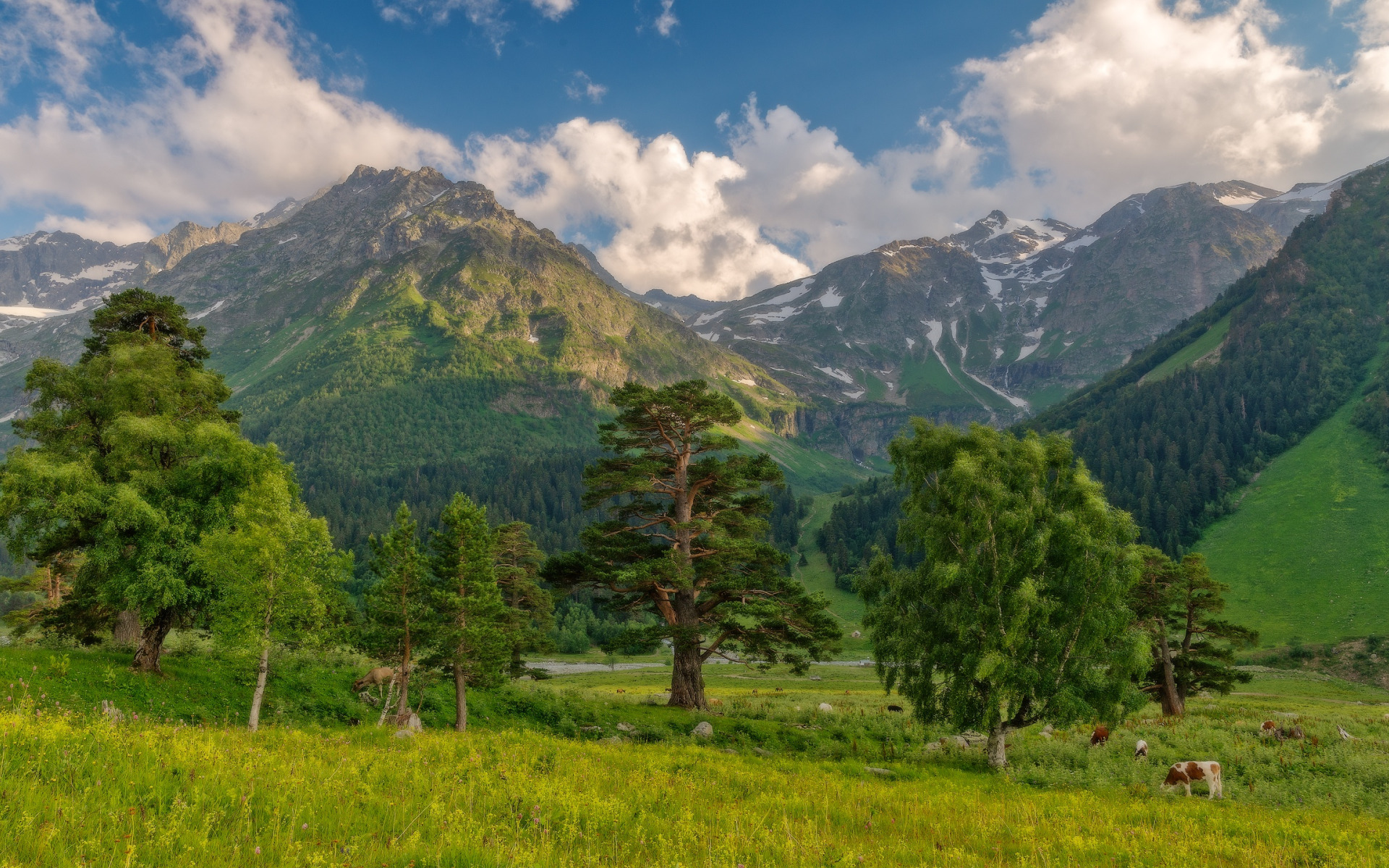 Горы предгорье Домбая