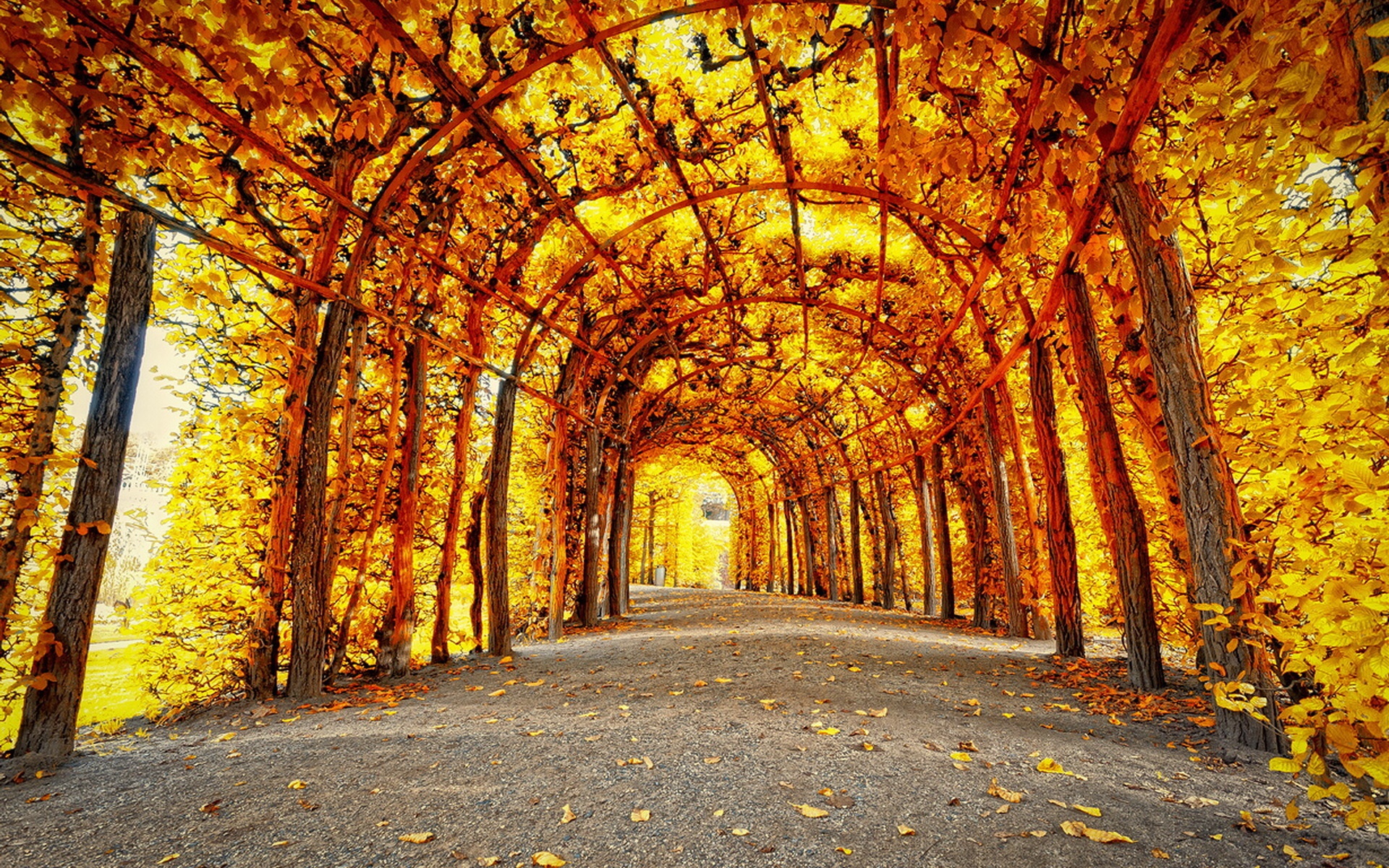 Осень картинки. Осенняя Парковая аллея. Осень парк. Осень в парке. Красивая осень.