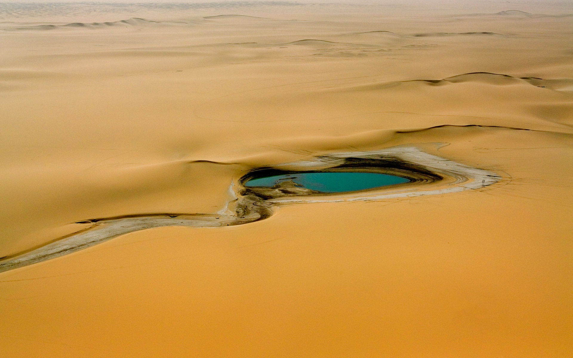 Реки пустыни россии. Пустыня Каракум Оазис. Пустыня сахара Оазис. Оазис пустыни Африки. Африка сахара Оазис.