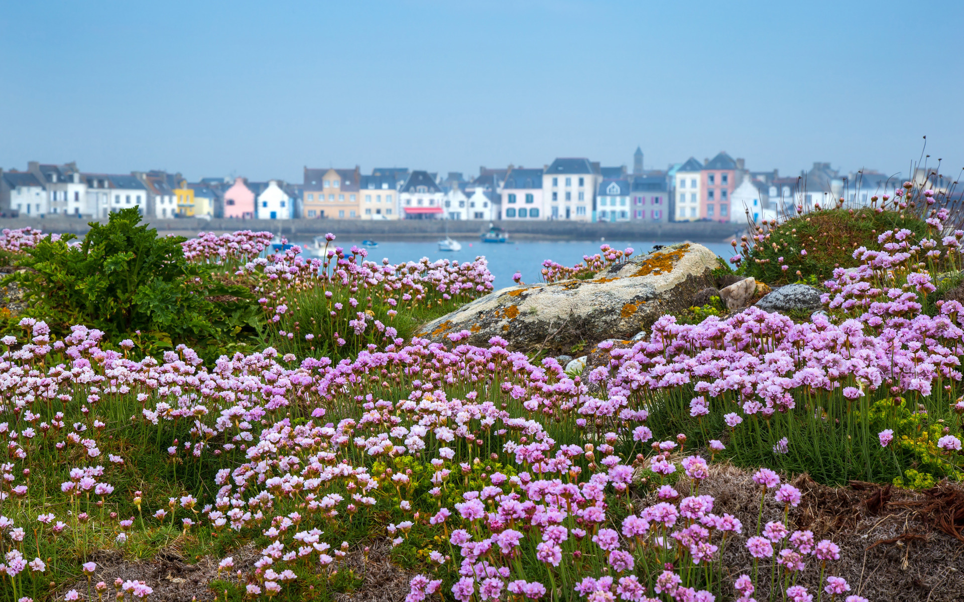 Цветы на береговой ростов. Море цветы побережье. Колонны с цветами на берегу моря фото.