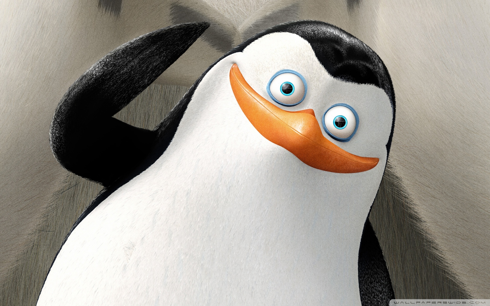 Обои мультфильм, The Penguins of Madagascar, Пингвины из Мадагаскара,  Private на телефон и рабочий стол, раздел фильмы, разрешение 1920x1200 -  скачать