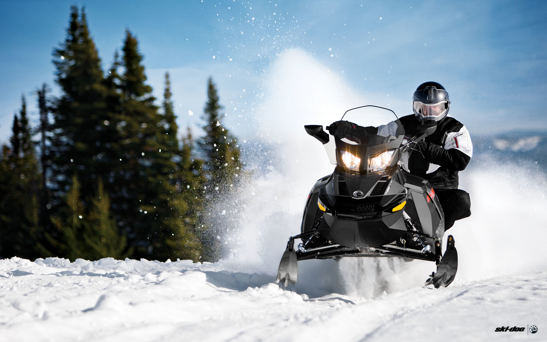 Снегоход в аренду. Ski-Doo снегоход в лесу. Снегоход БРП В лесу. BRP Ski Doo 500 Sport. Снегоход BRP Ski Doo на снегу.