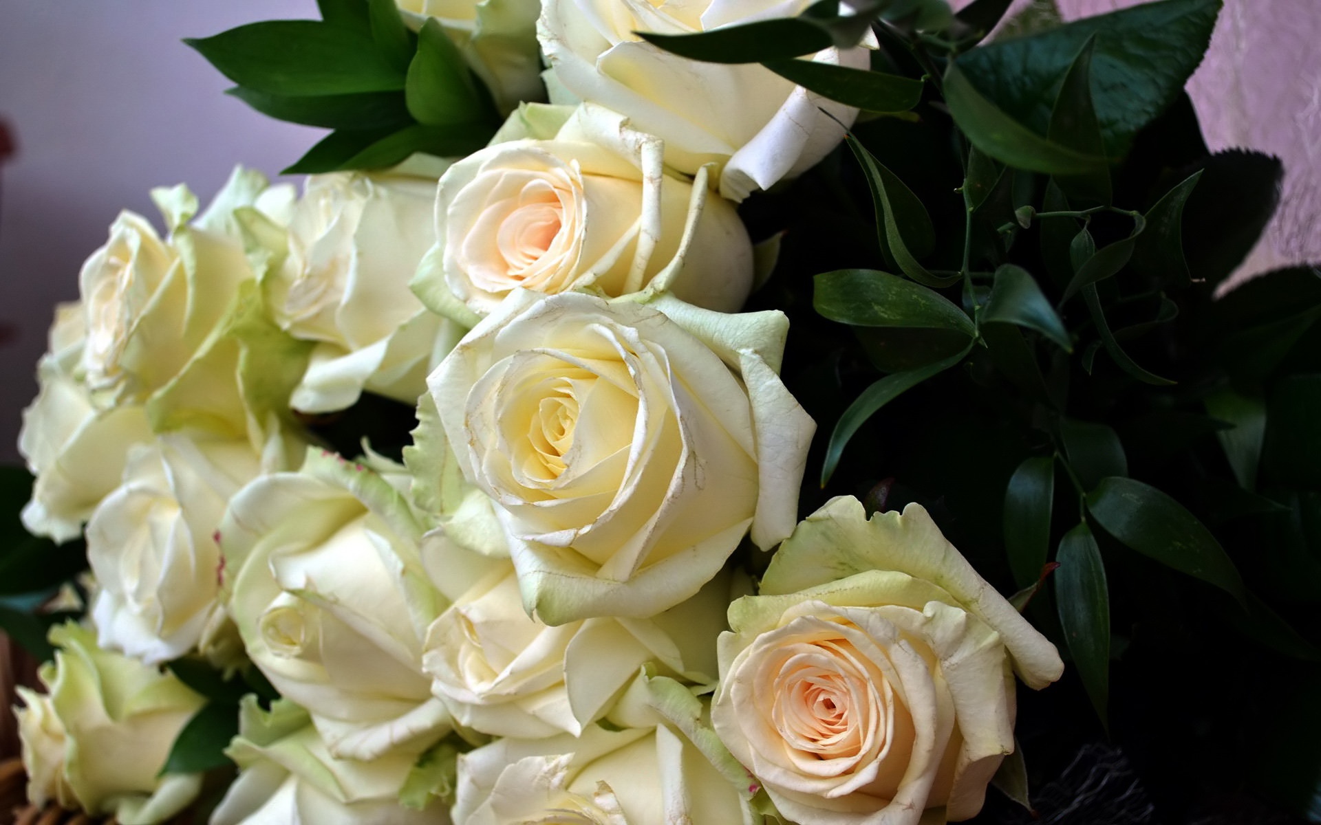 Хиты белые розы. Букет белых роз. Огромный букет белых роз. Красивый букет белых роз.