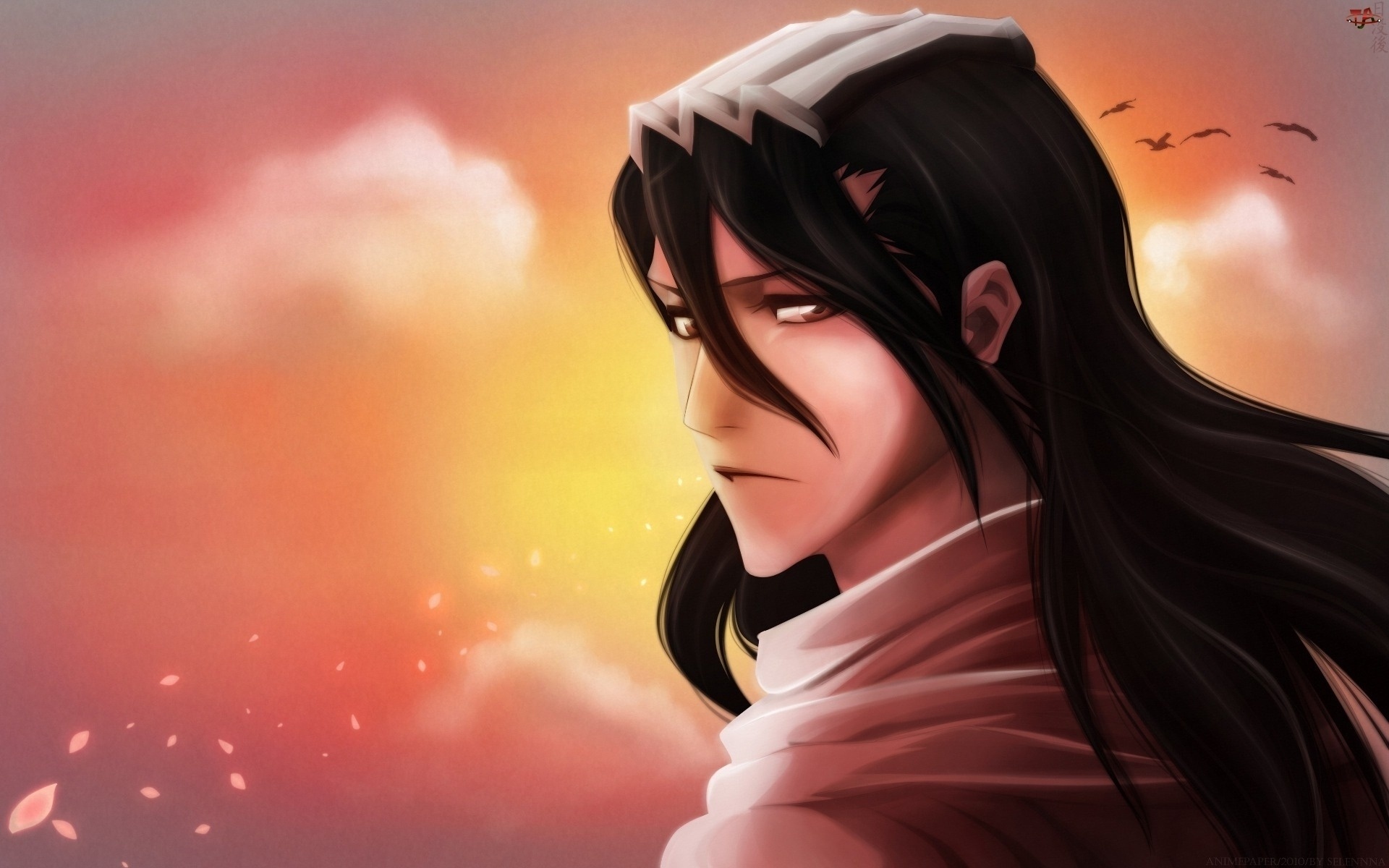 Обои небо, взгляд, птицы, Аниме, сериал, Bleach, Блич, Byakuya Kuchiki на  телефон и рабочий стол, раздел аниме, разрешение 1920x1200 - скачать