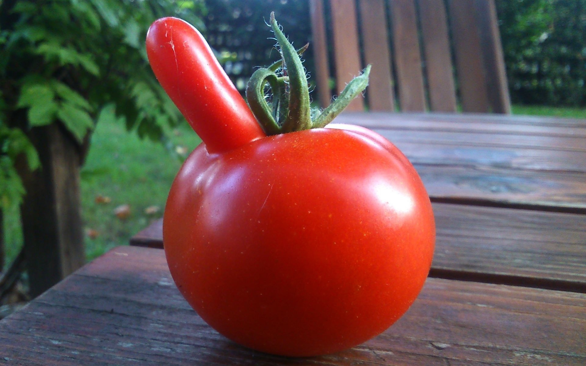 Смешной помидор. Помидор. Красные овощи. Помидор картинка. Веселый помидор.
