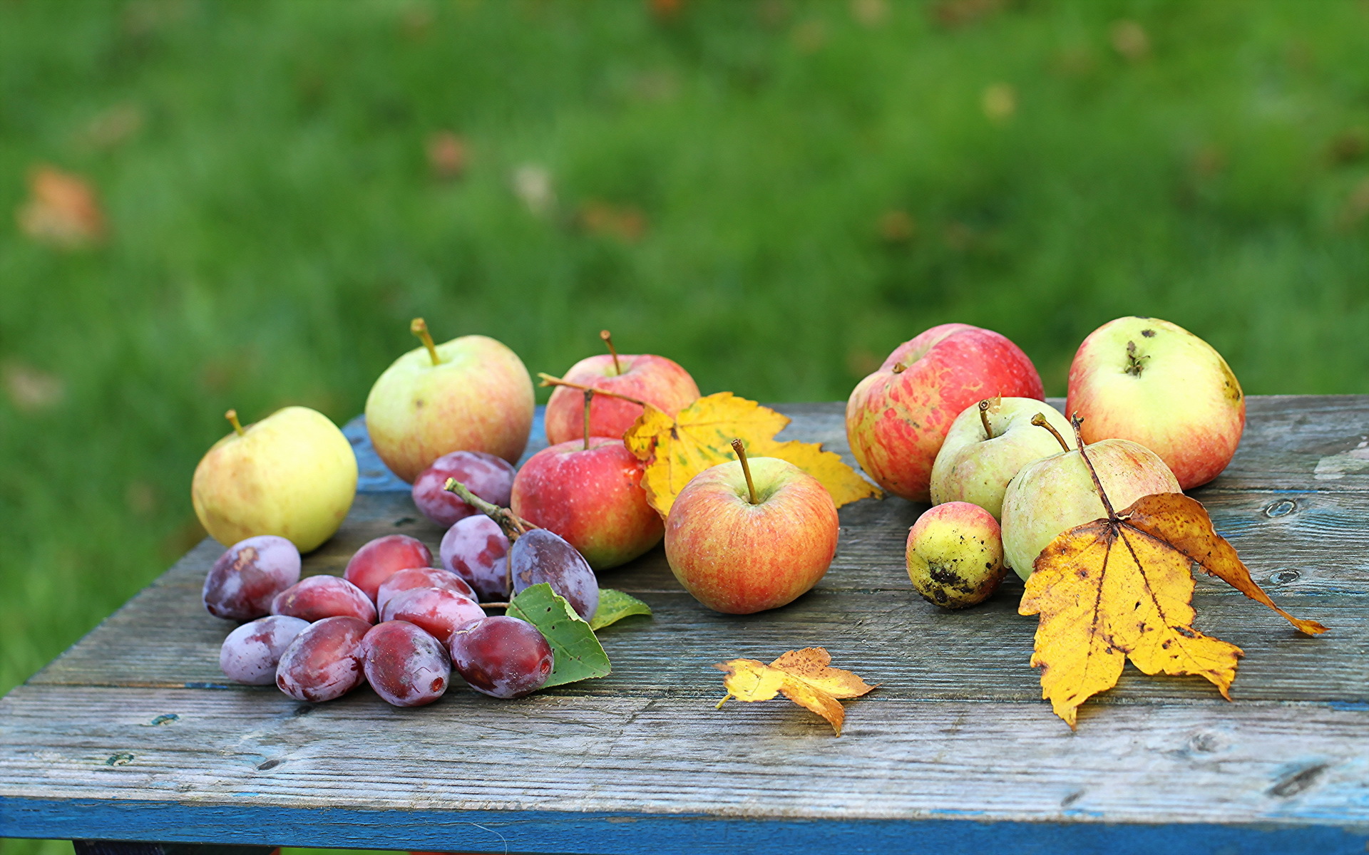 Осенний сад яблоки. Осенние фрукты. Осень яблоки. Яблоки в осеннем саду. Осенний сад.