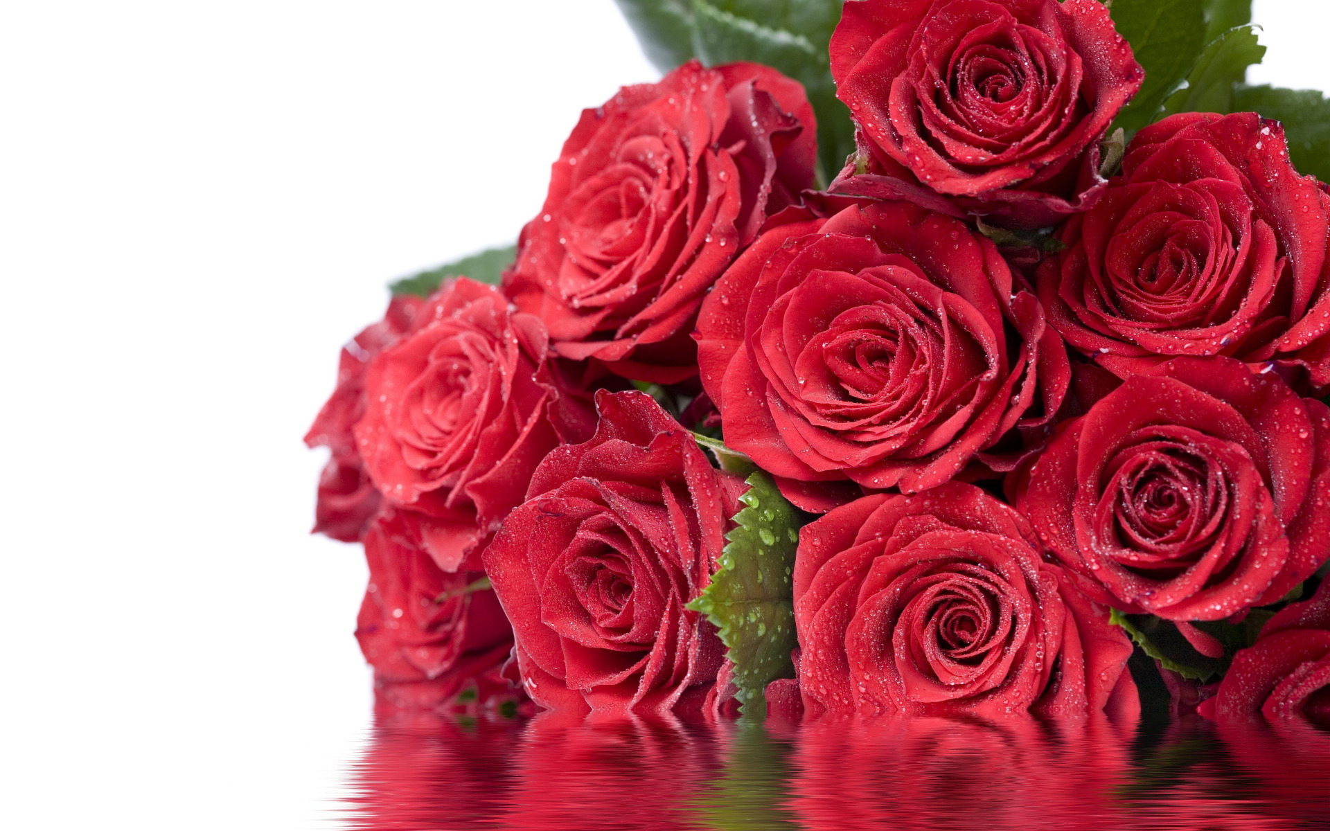 С праздником любимые дамы. Красивые цветы розы. Открытки с розами. Открытки с цветами красивые. Красивые красные розы.