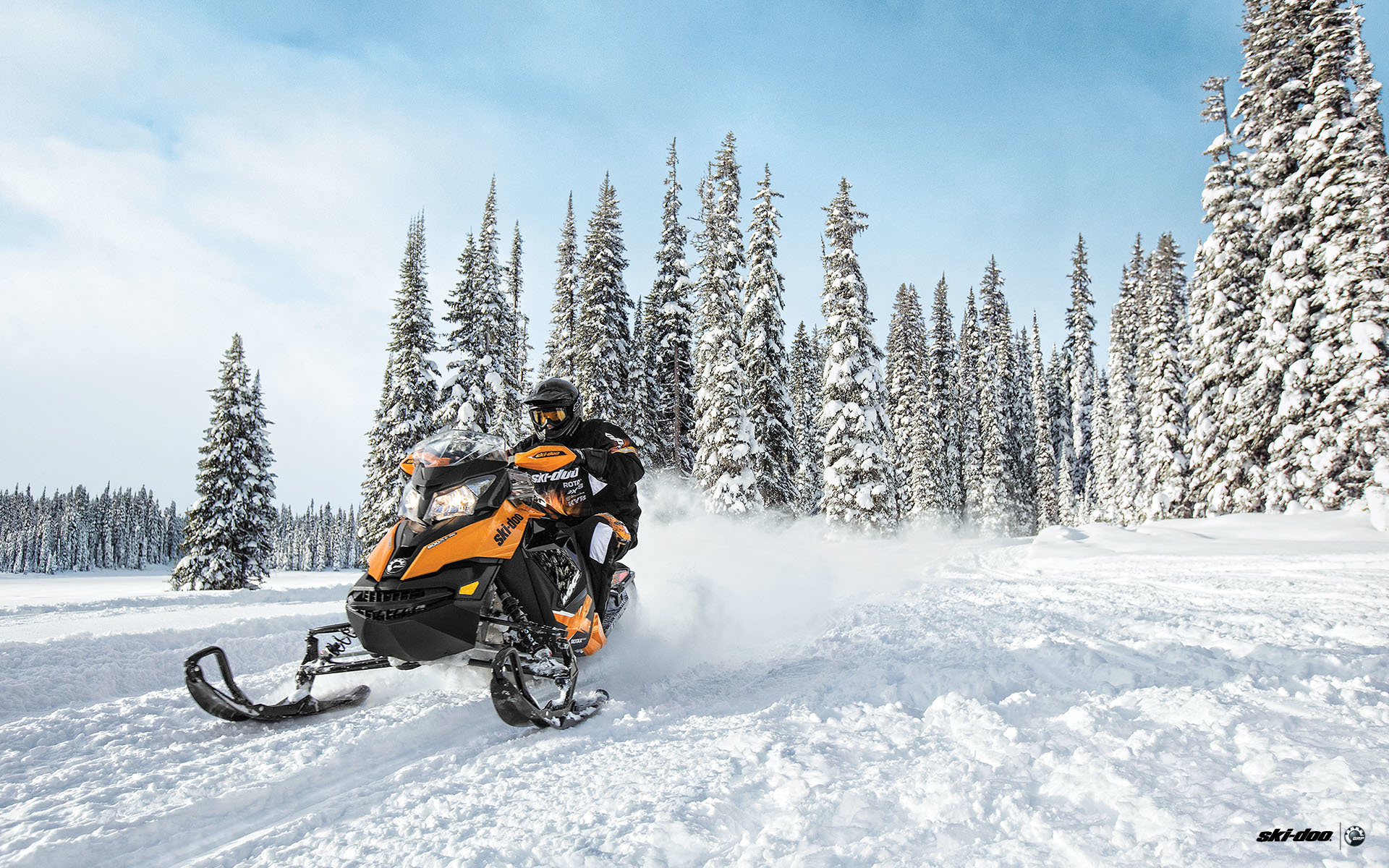 Обои Лес, Снегоход, Snowmobile, Ski-Doo на телефон и рабочий стол, раздел  спорт, разрешение 1920x1200 - скачать