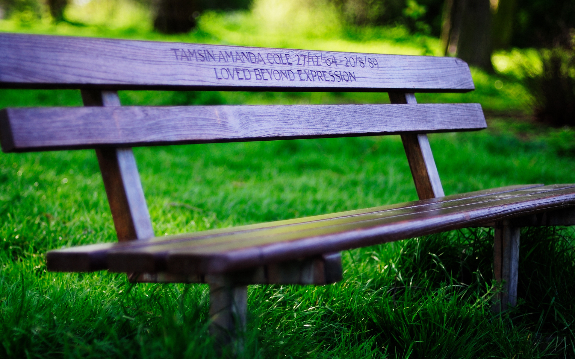 Лавка значение. Bench [бенч] — скамейка. Скамейка на улице. Деревянная скамейка в парке. Скамейка фон.