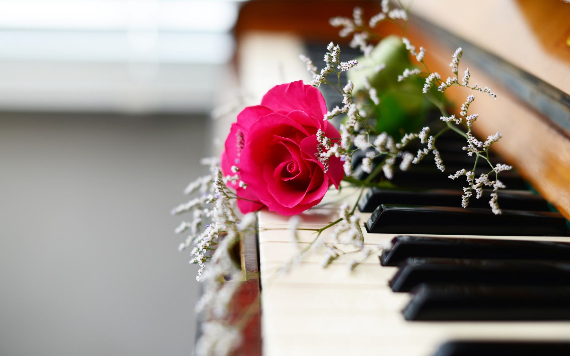 Красивая музыка россии. Музыкальный букет цветов. Картинки пианино и цветы. Цветы на рояле. Музыкальные инструменты и цветы.