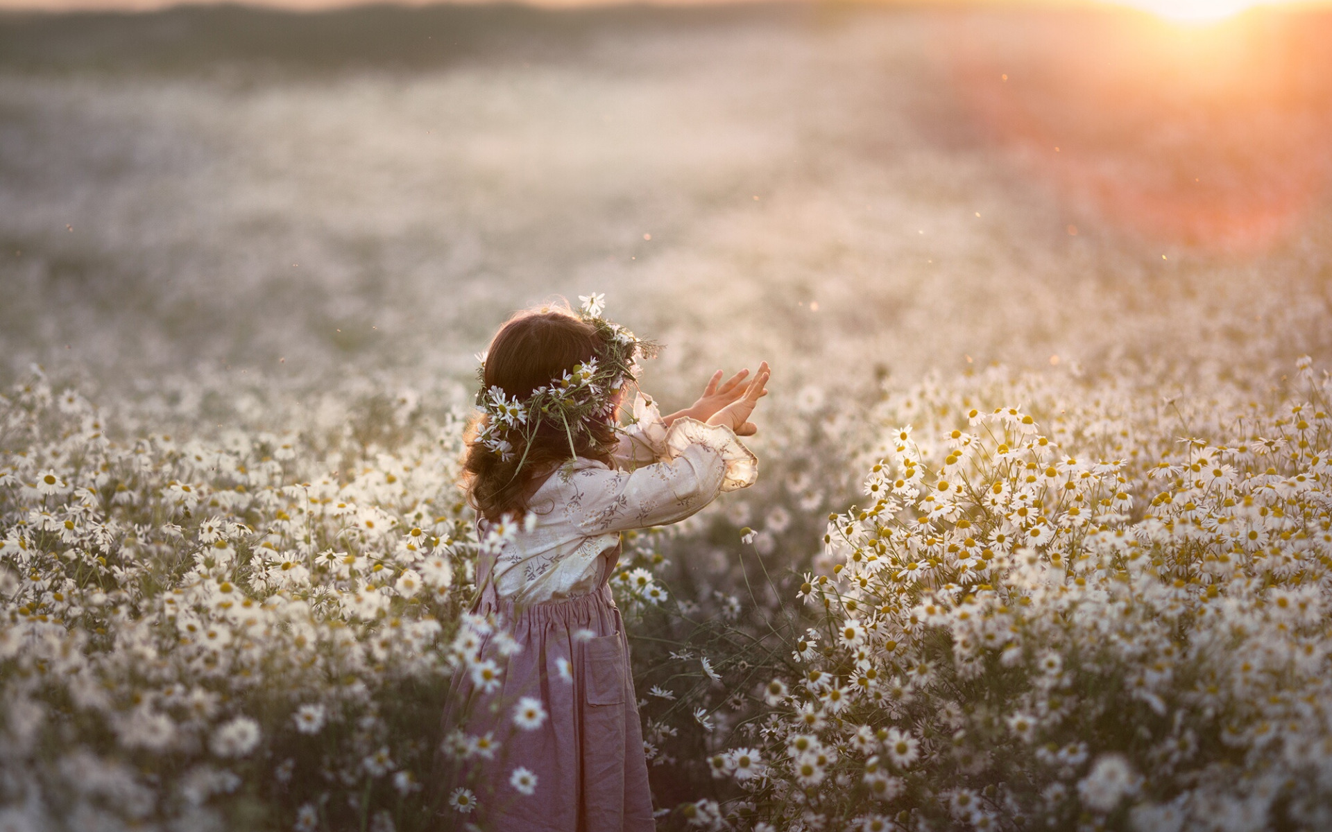 Песня счастья рассвет. Фотосессия в поле. Девушка с ромашками. Девушка в поле. Девочка в ромашках.