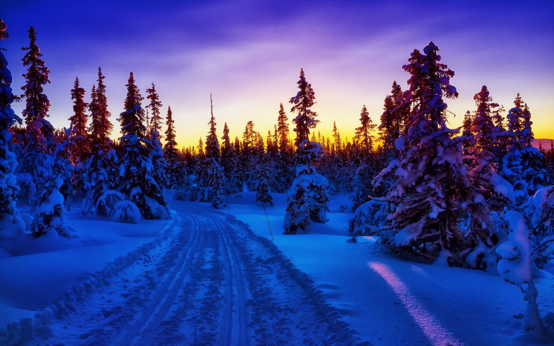 Картинки зима красивые. Зимний закат. В новогоднем лесу. Закат в зимнем лесу. Новогодний пейзаж.