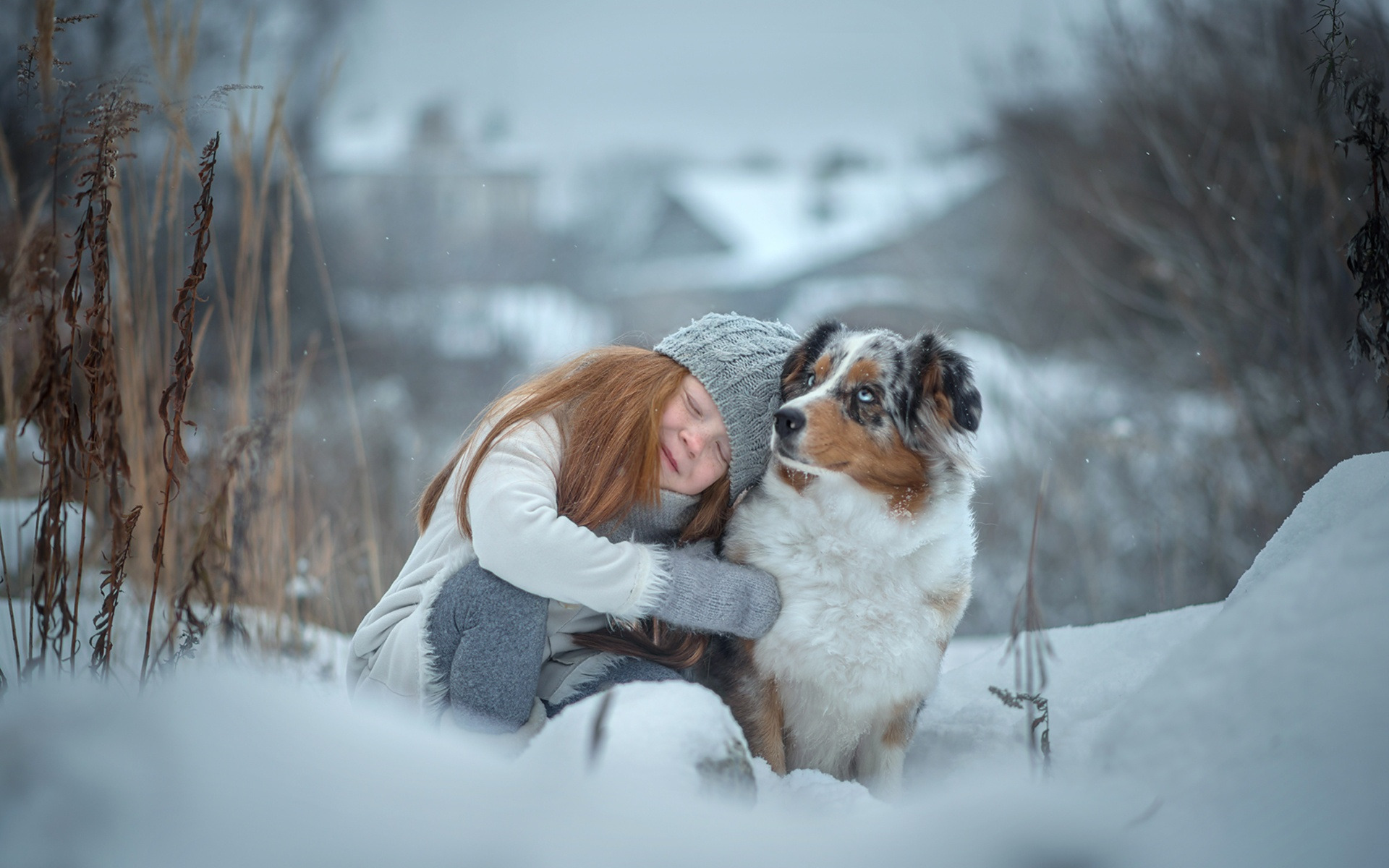 Хозяин зимней. Зимняя фотосессия с собакой. Зимние радости. Зимняя прогулка с собакой. Девушка с собакой зимой.