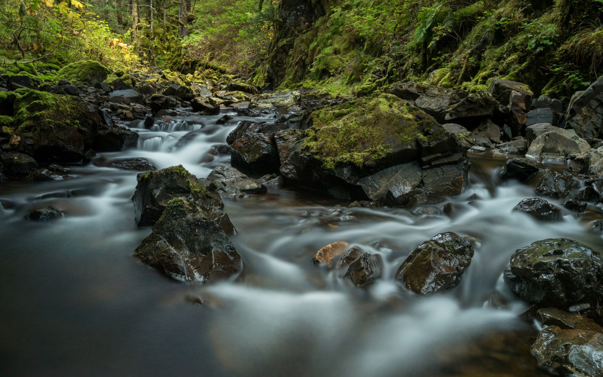 Лес и ручей слушать. Ручей по камням. Ручей в лесу фото пейзаж. Forest Stream.