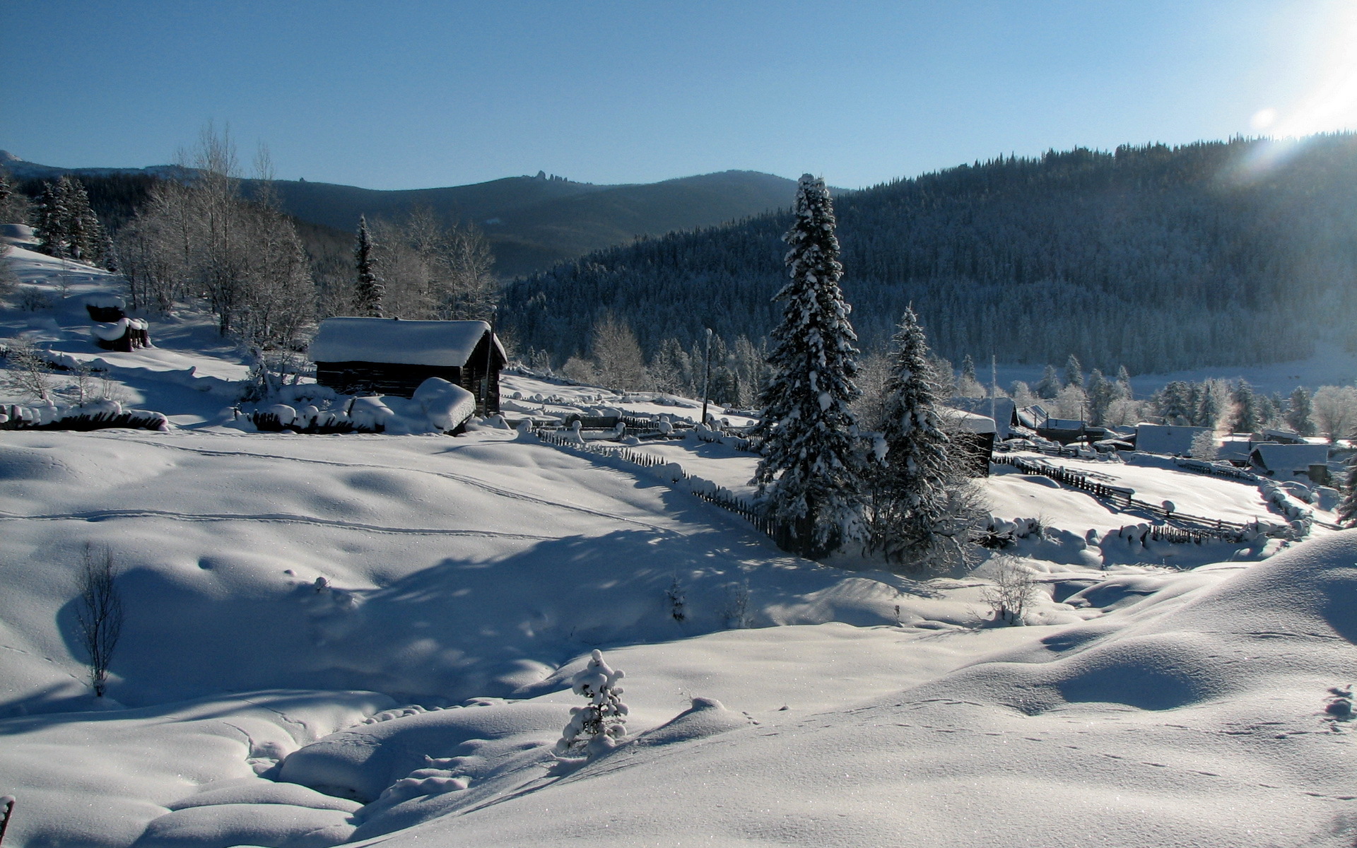 Зимний каретник. Тюлюк Тайга природа. Зимняя деревня. Деревня зимой. Зима в деревне.