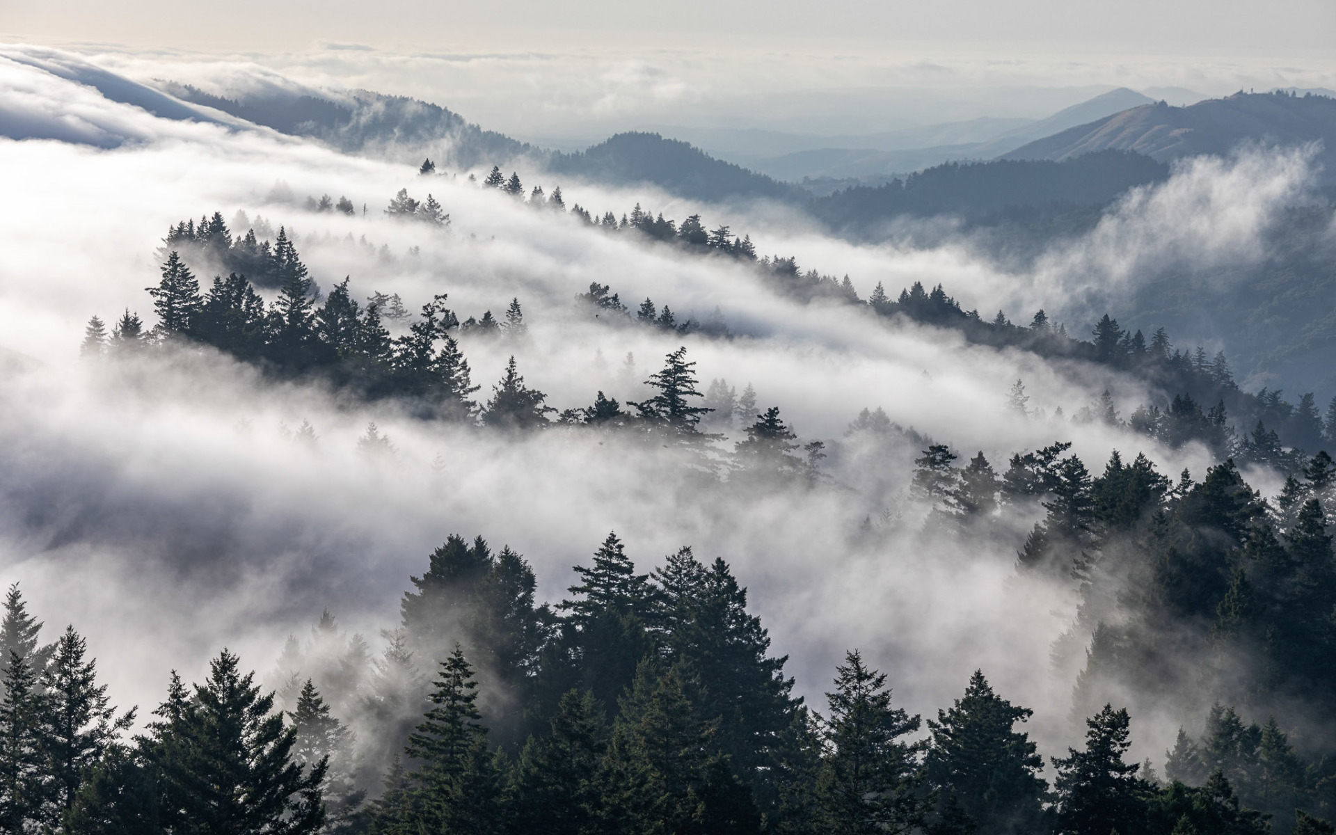 Fog mountains. Туманный лес Таганай. Скандинавия лес Шварцвальд. Горы в тумане. Лес горы туман.