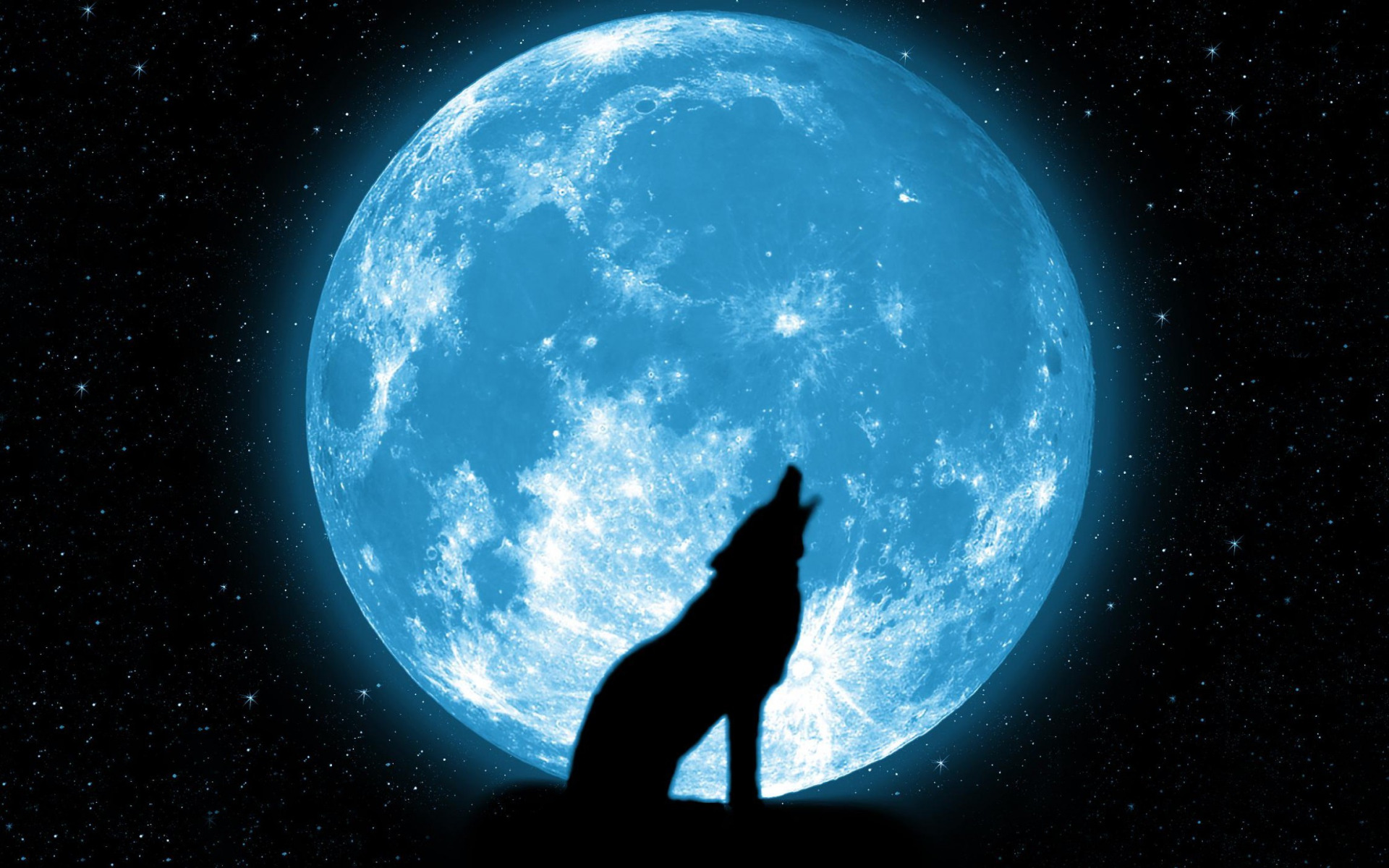 Хоть вой. Волк и Луна. Волк обои. Волчья Луна. Волк воет на луну.