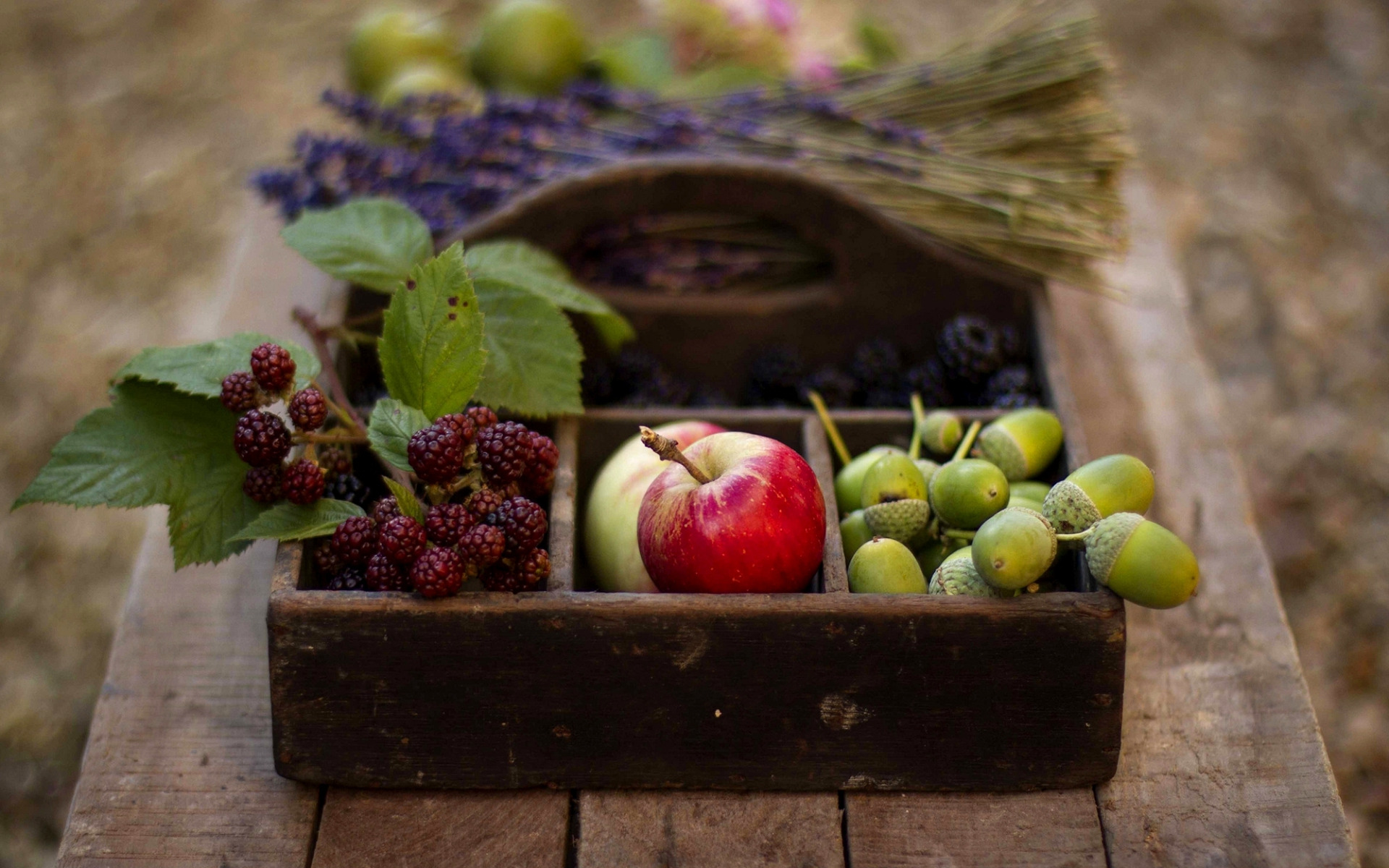 Осенние фрукты и ягоды