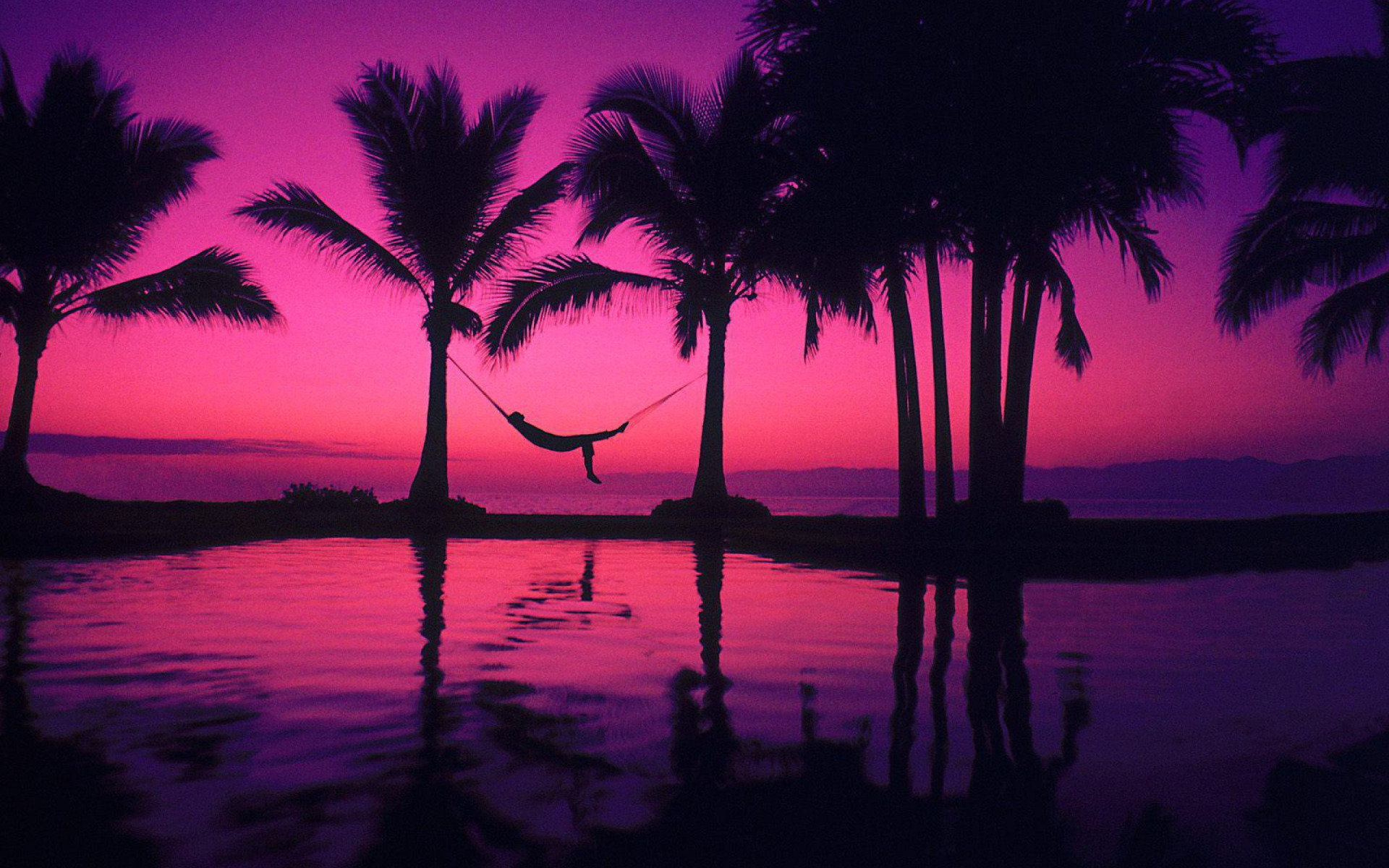 Sunset vibes. Телевизор Sharp LC-32hi3012e. Перпл Бич. Фиолетовый закат. Пальмы на закате.