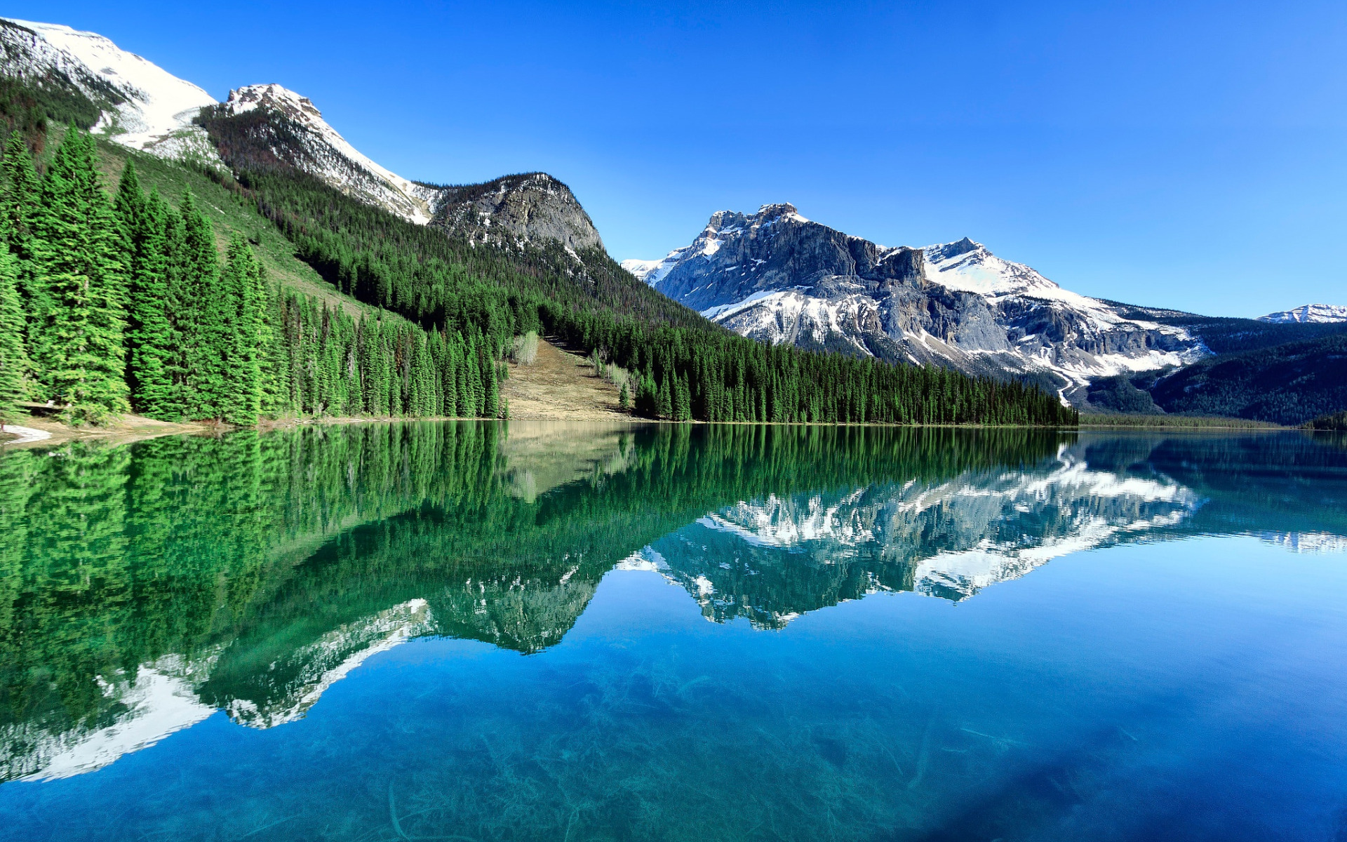 British canada. Британская Колумбия British Columbia Канада. Национальный парк Йохо Канада. Изумрудное озеро Канада.