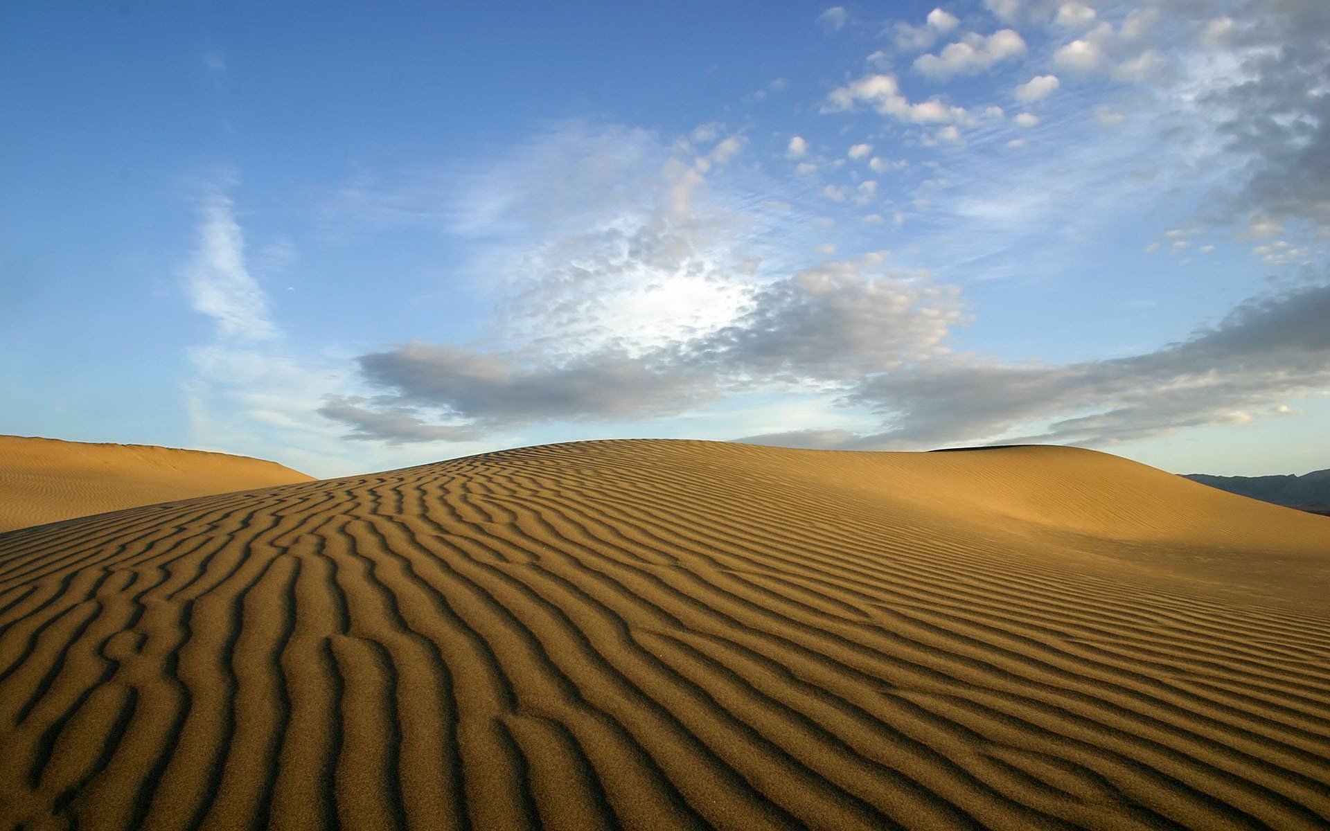 Неживая природа в пустыне. Пустыня Кызылкум. Песчаные дюны Калахари. Пустыня Такла Макан. Пустыня Калахари.