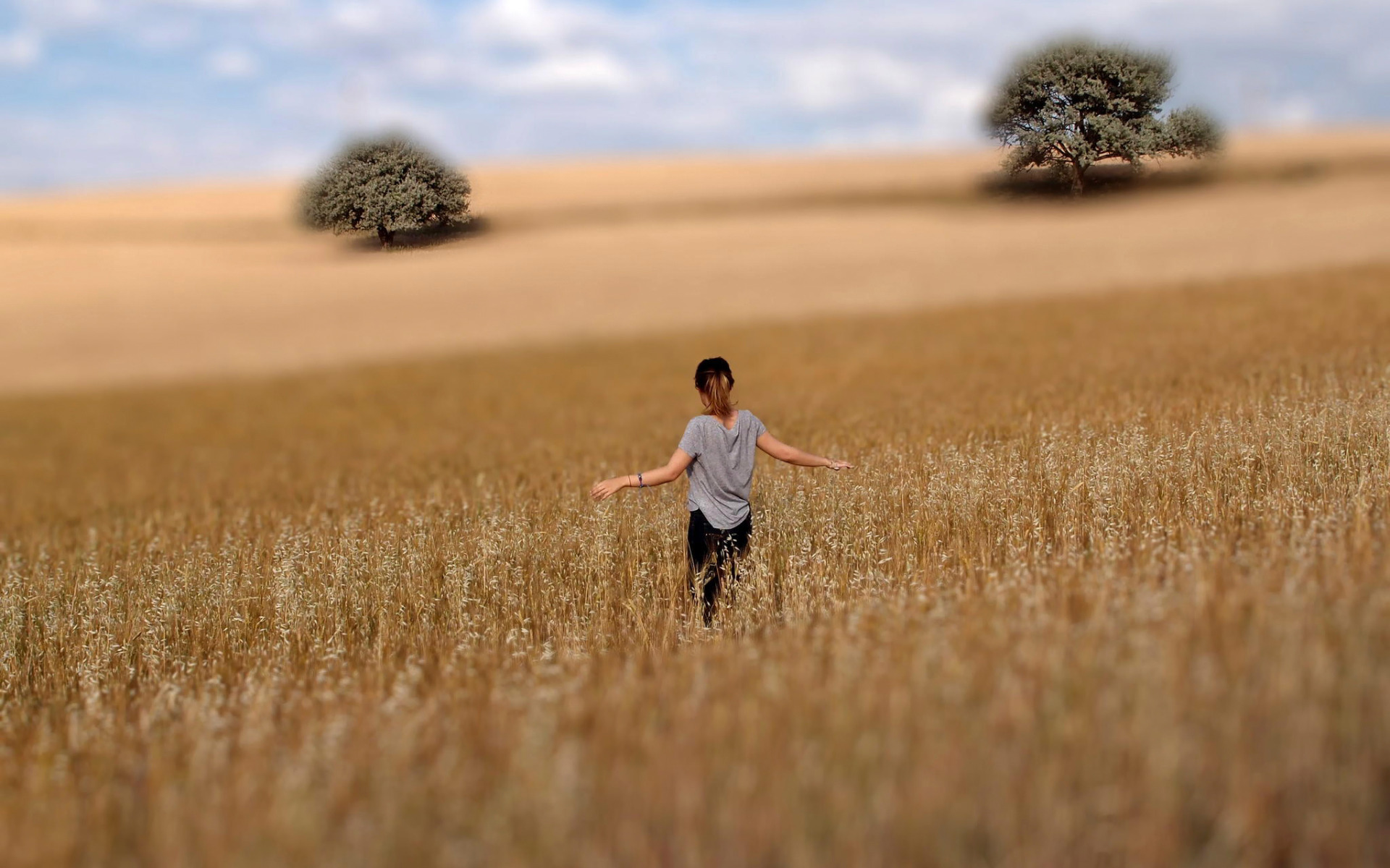 Человек в поле. Фотосессия в поле. Пшеничное поле человек. Человек на фоне поля.