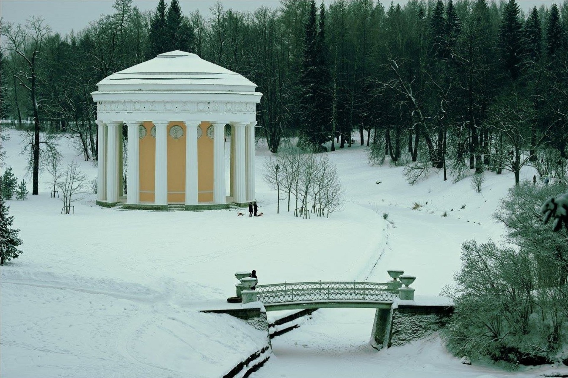 зимний павловский парк